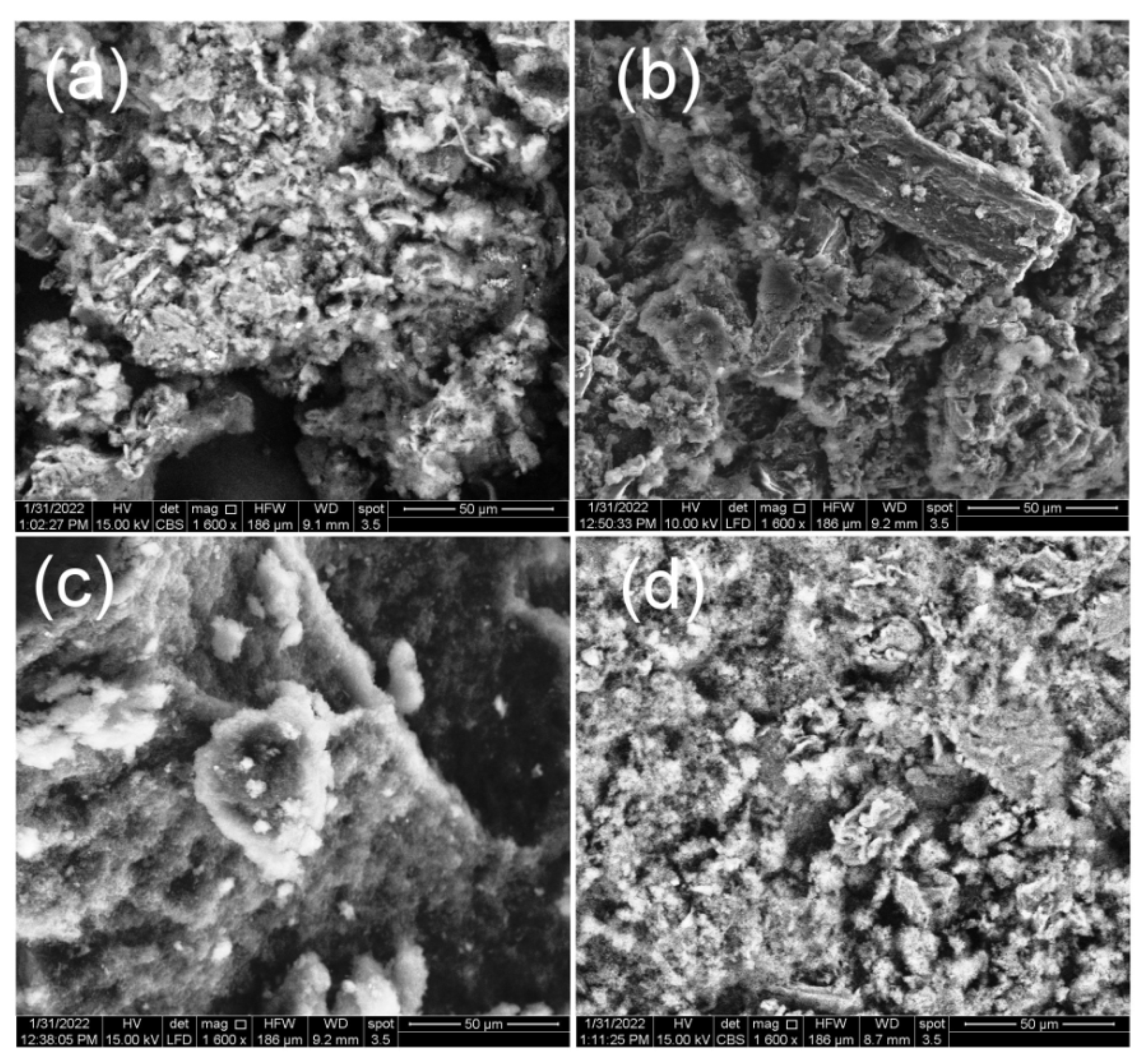 Polymers 14 04562 g004 Polymers 14 04562 g004