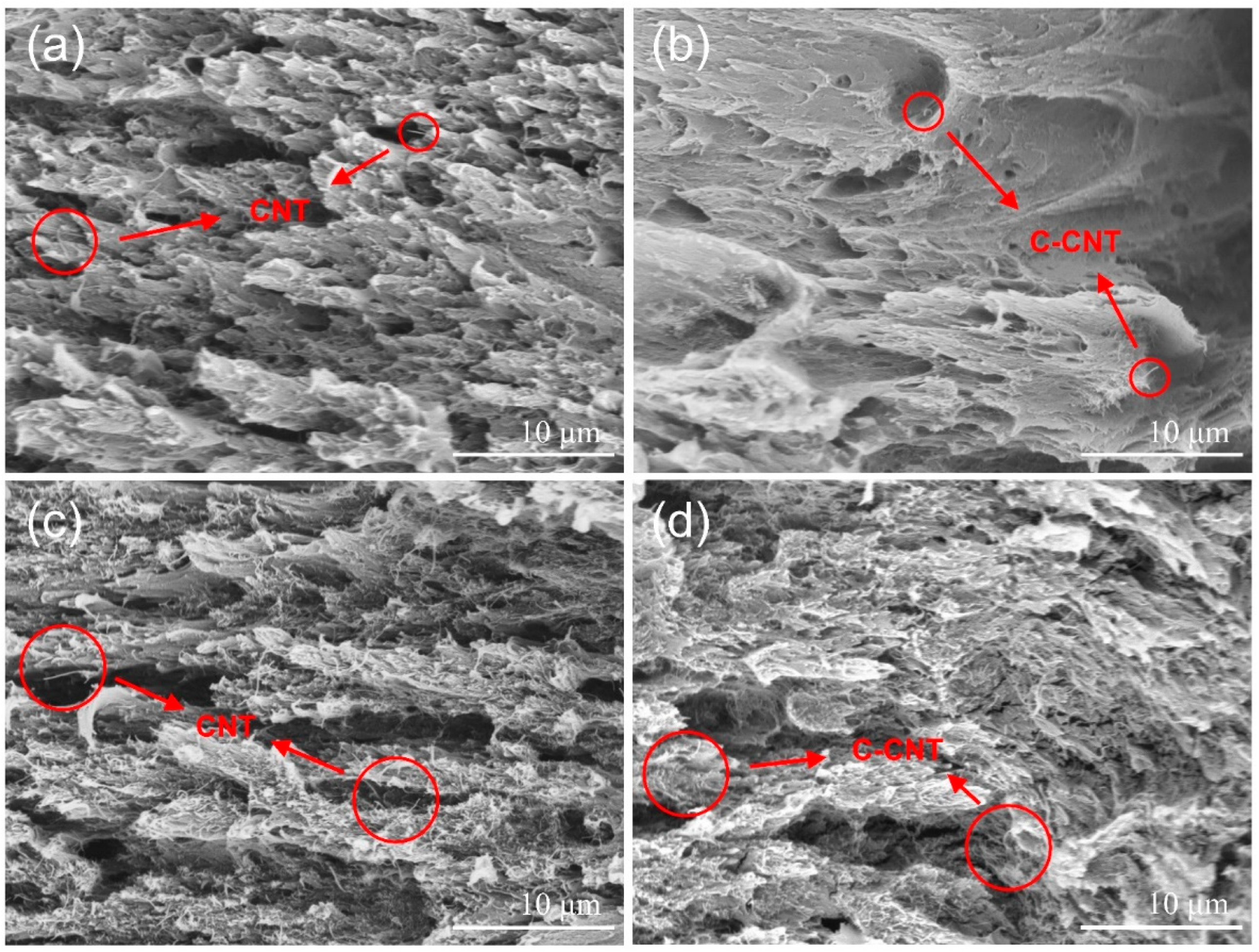 Polymers 14 04565 g009