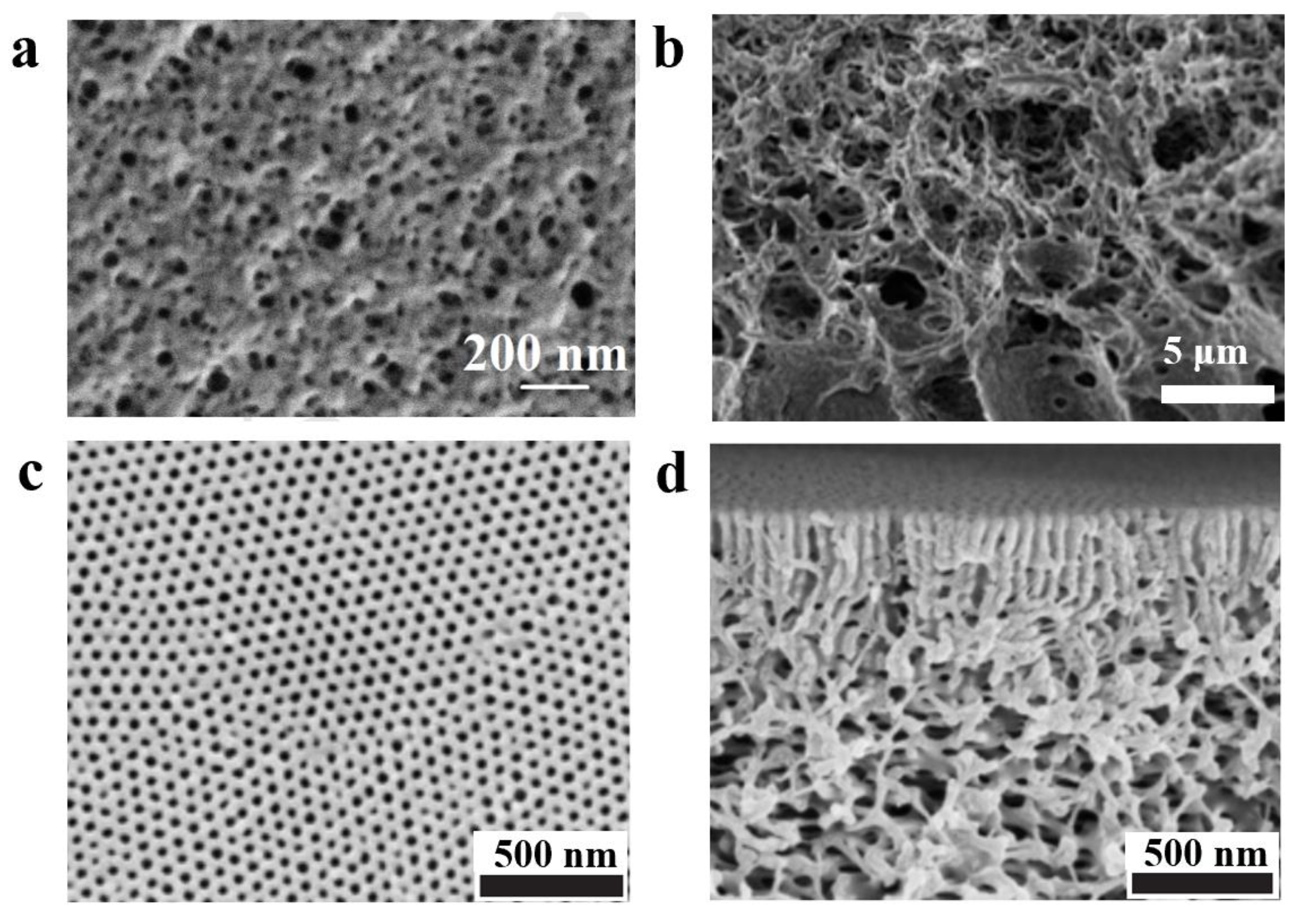 Polymers 14 04568 g005 Polymers 14 04568 g005