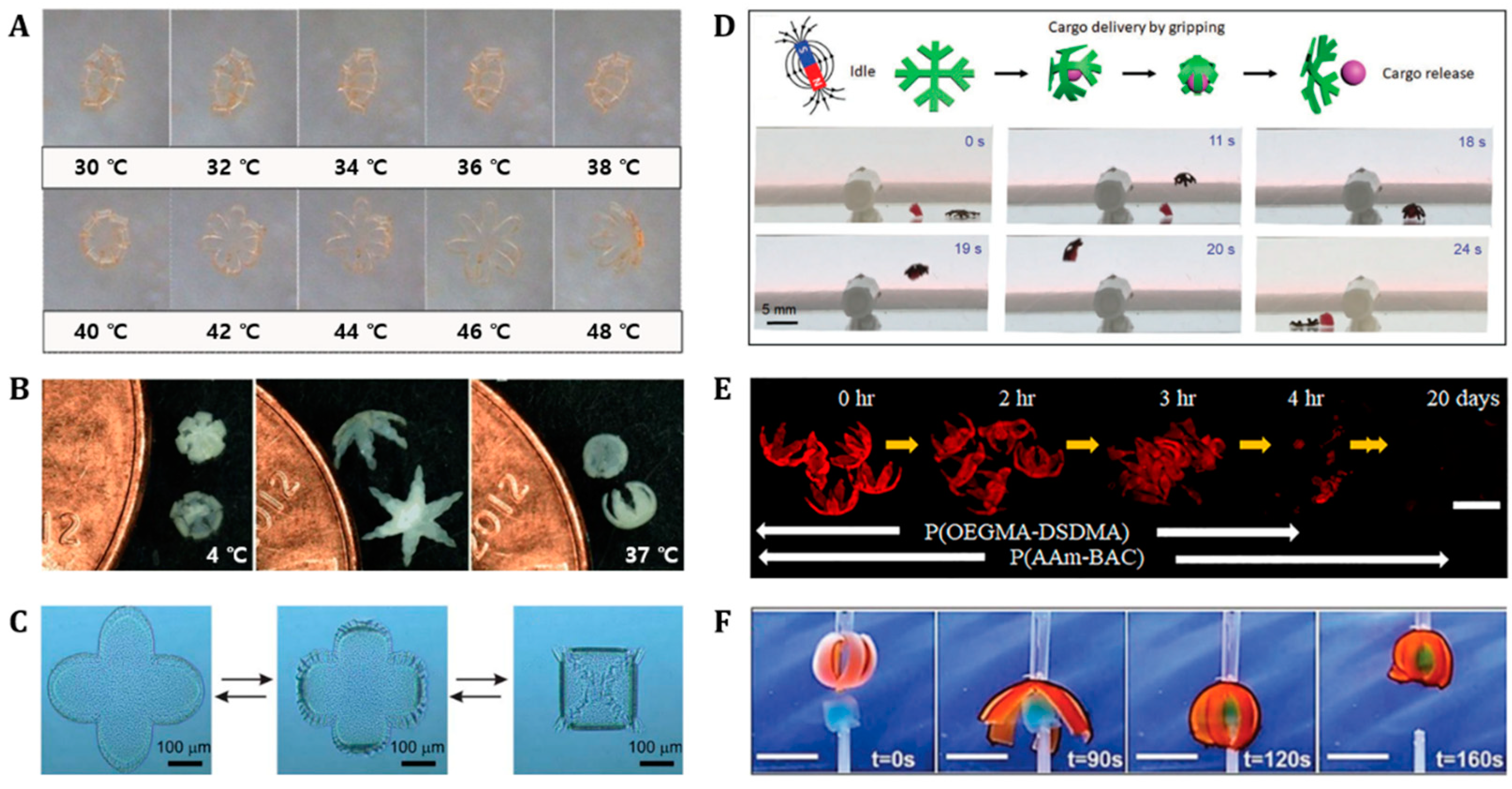 Polymers 14 04574 g005