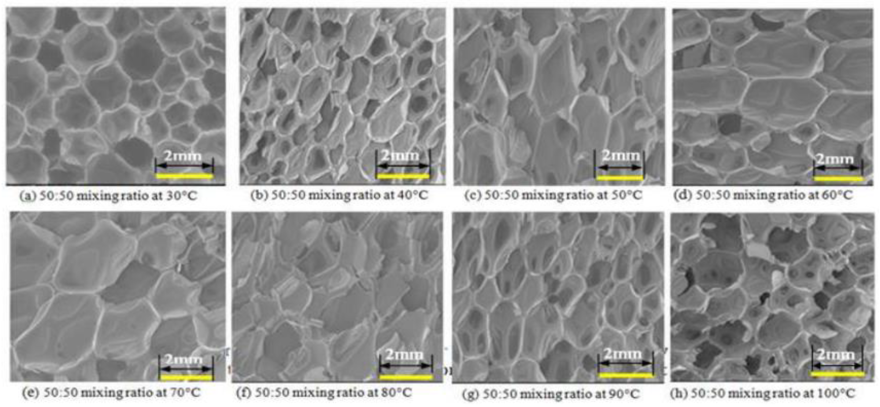 Polymers 14 04586 g003