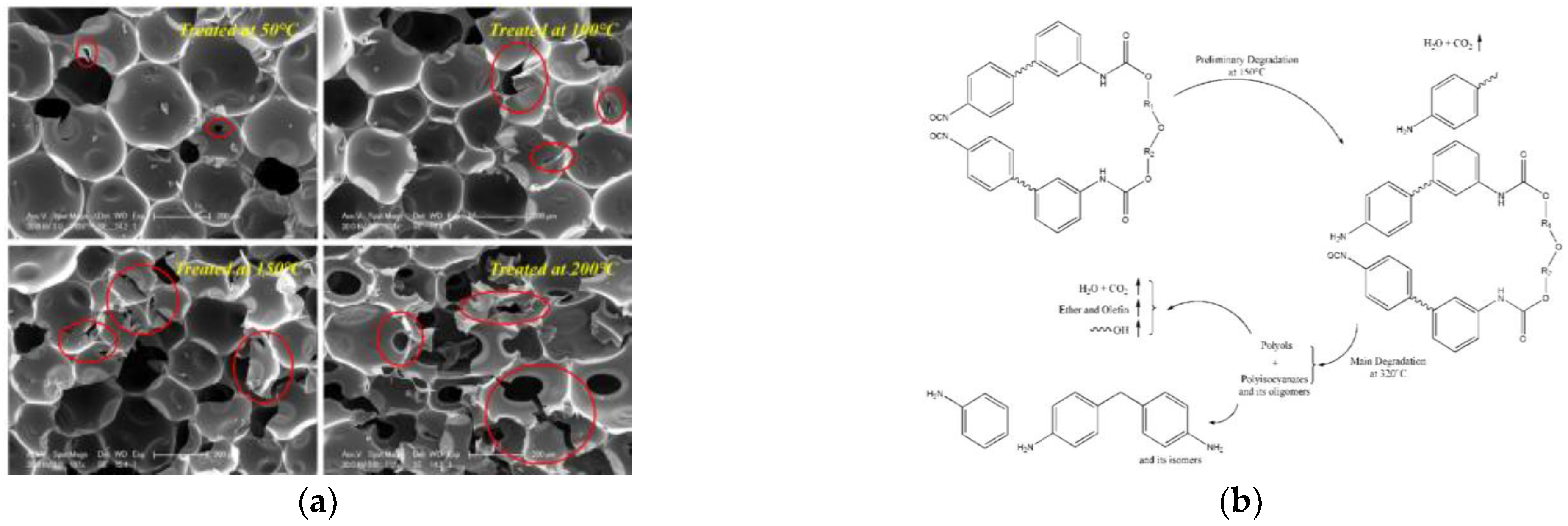 Polymers 14 04586 g006