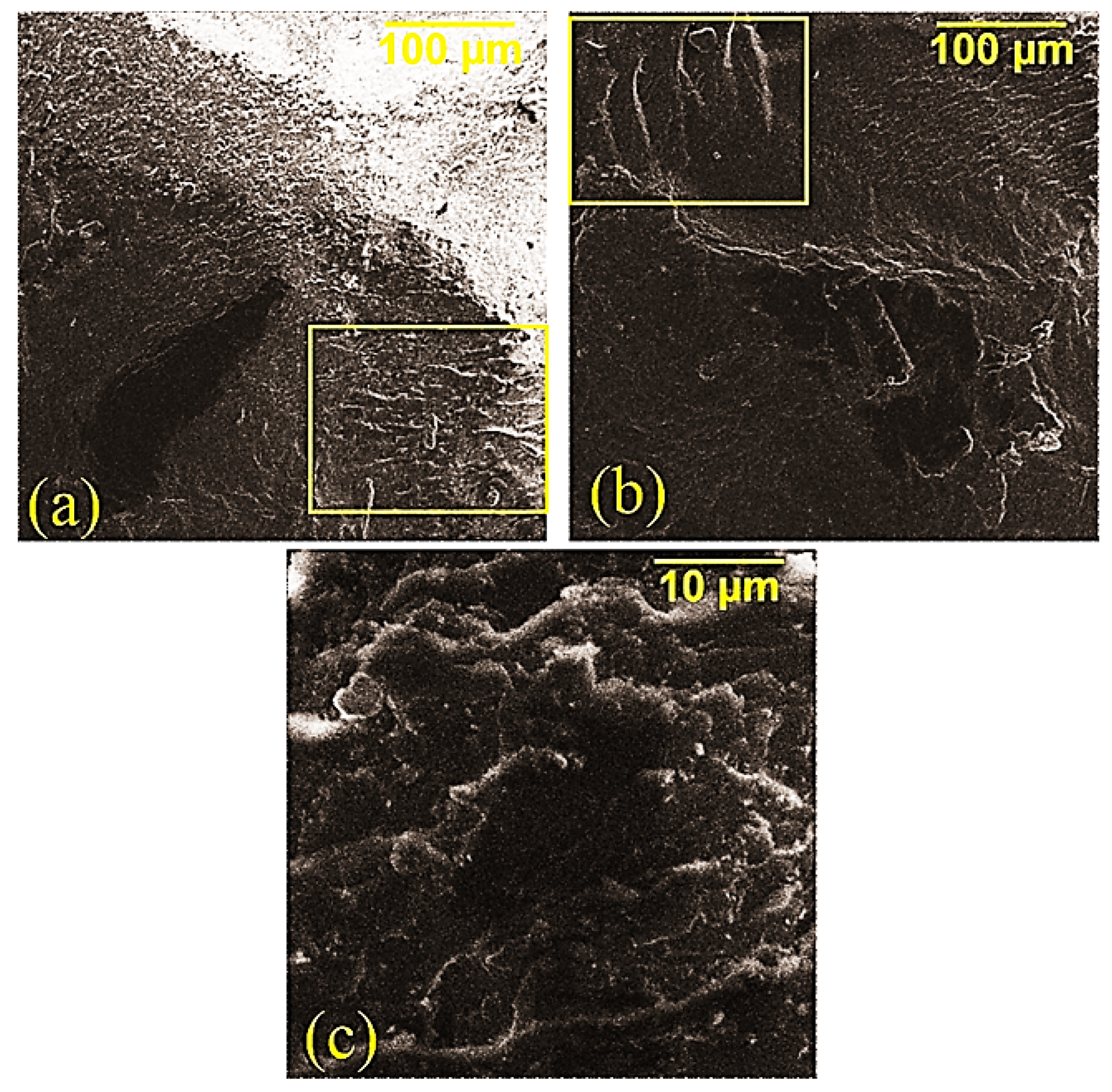 Polymers 14 04594 g005 Polymers 14 04594 g005