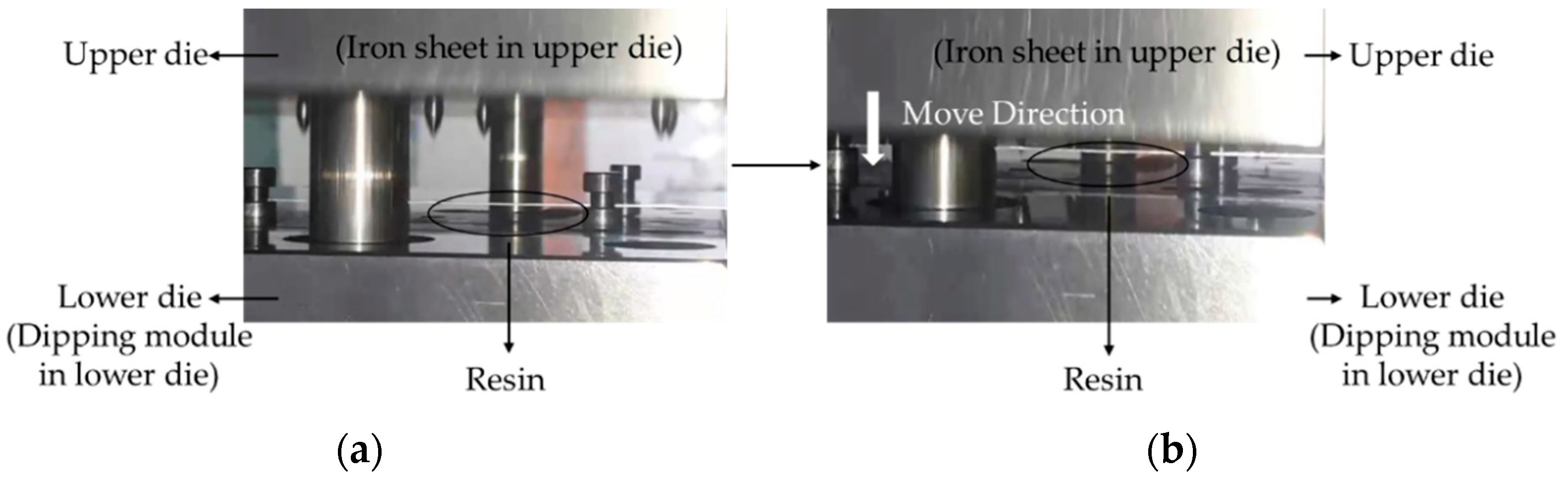 Polymers 14 04596 g003