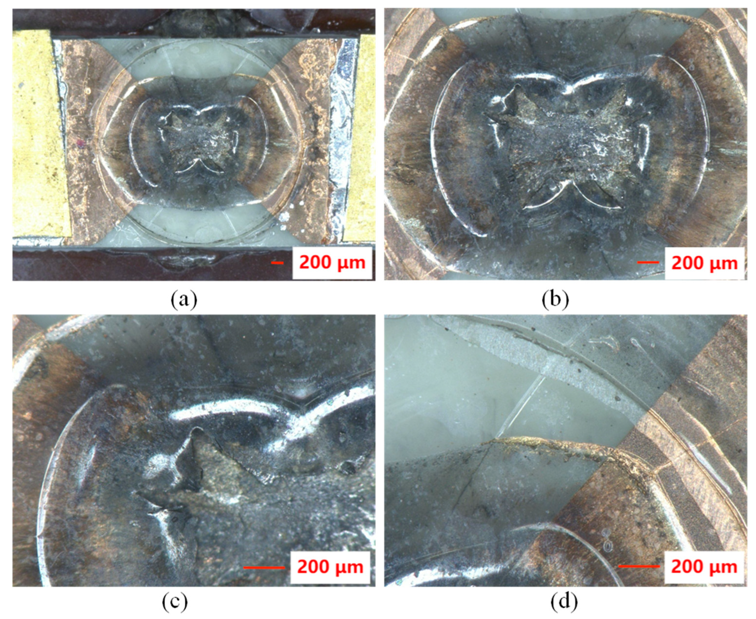 Polymers 14 04604 g006