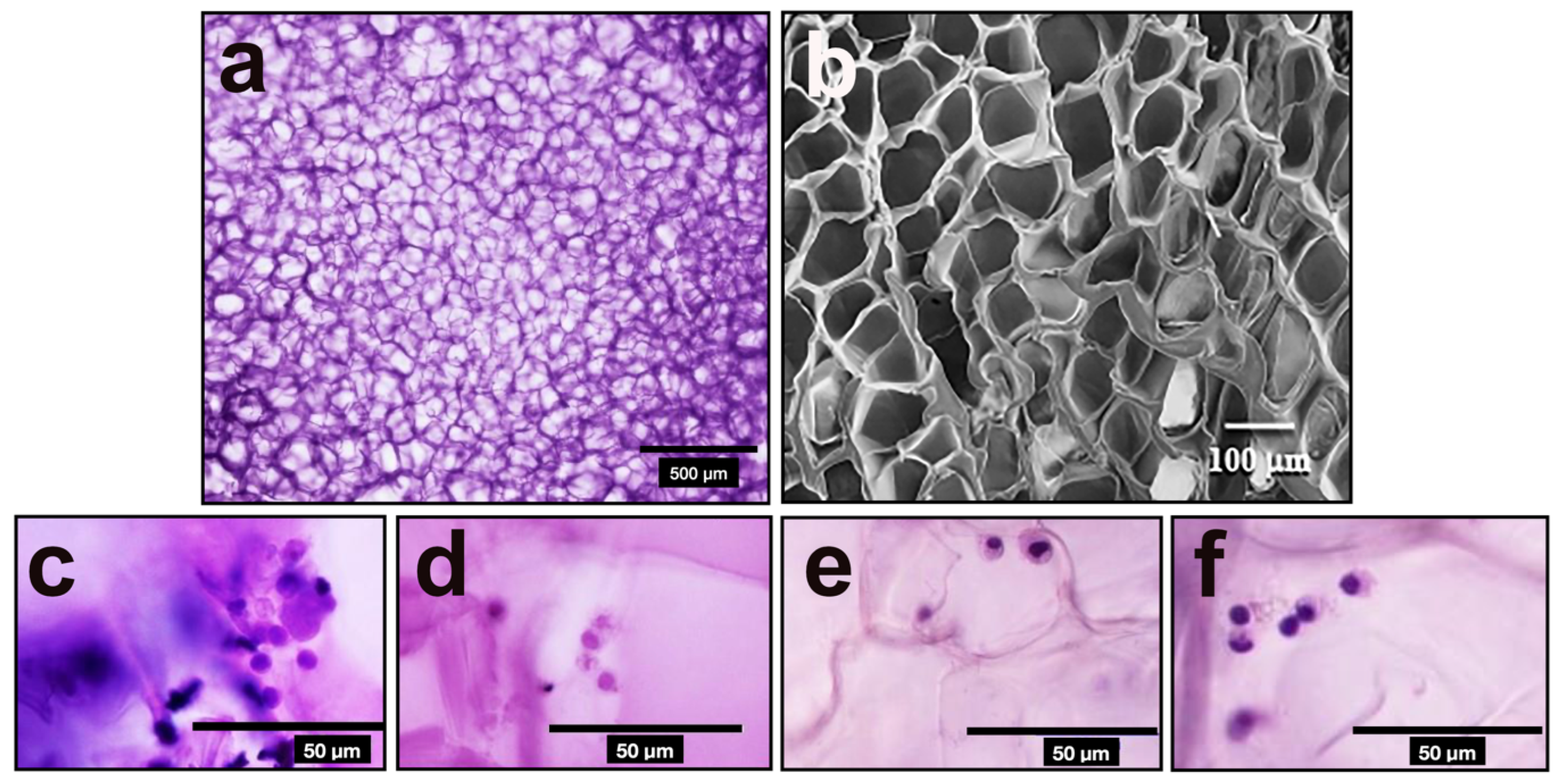 Polymers 14 04608 g002 Polymers 14 04608 g002