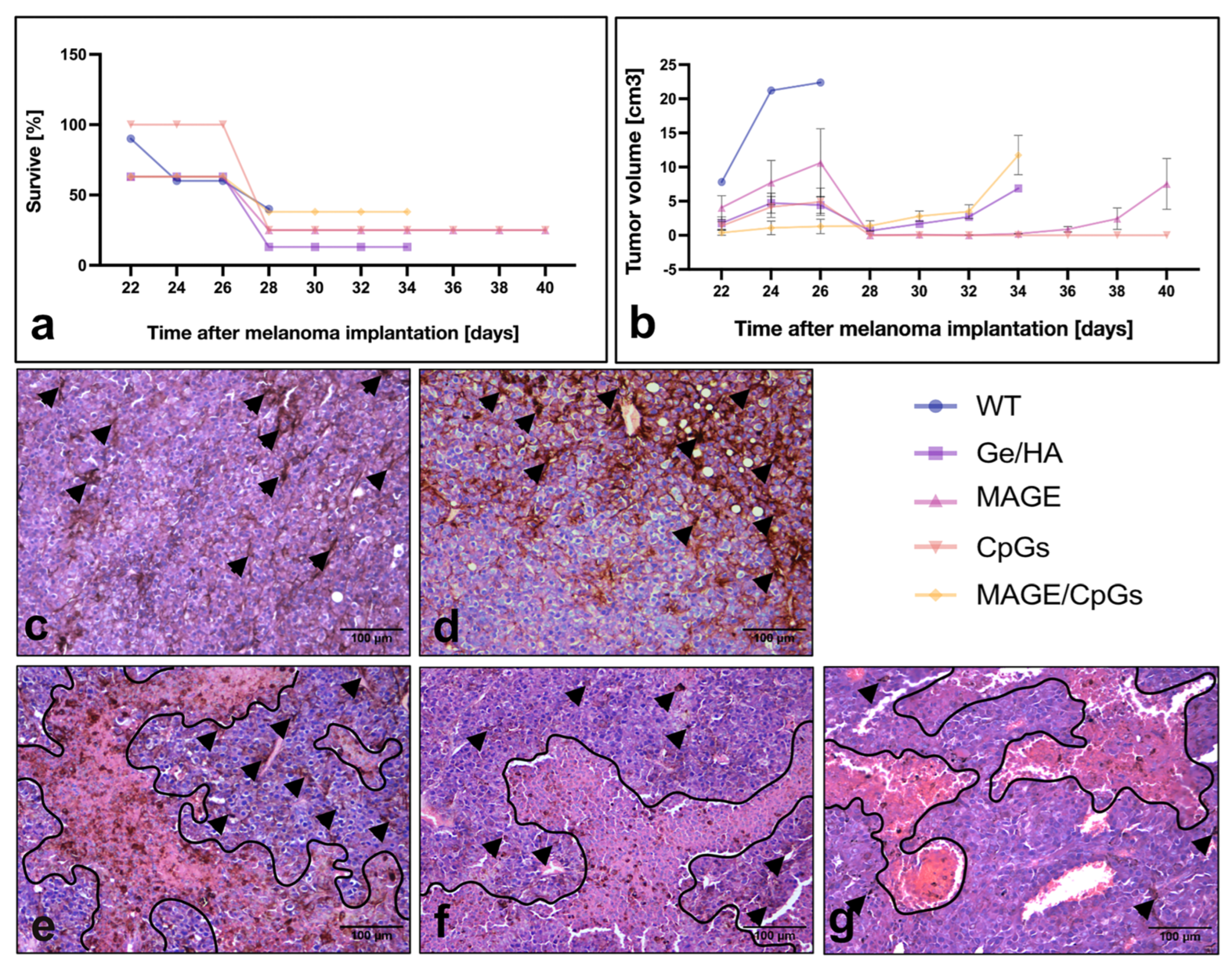 Polymers 14 04608 g006 Polymers 14 04608 g006