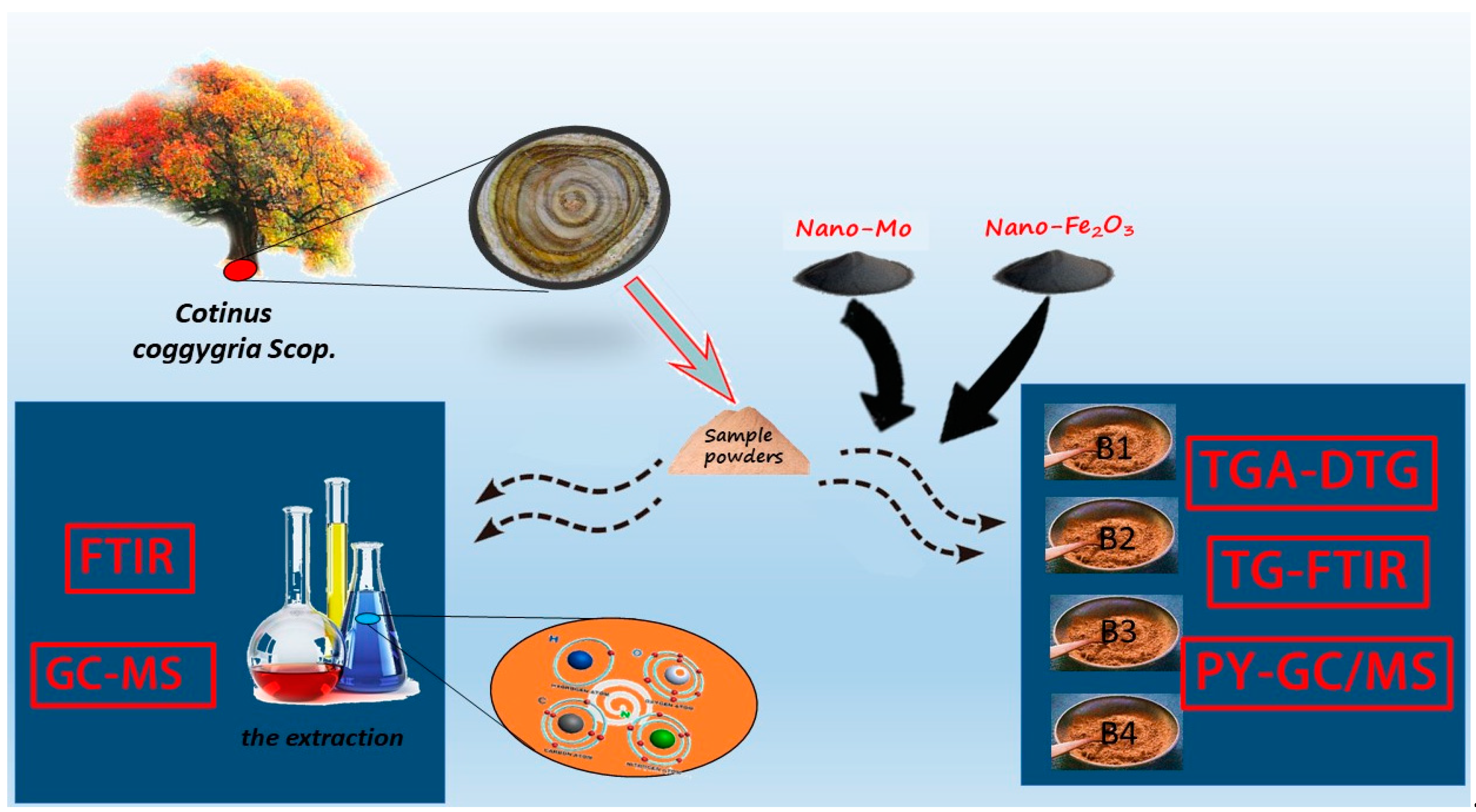 Polymers 14 04610 g001 Polymers 14 04610 g001