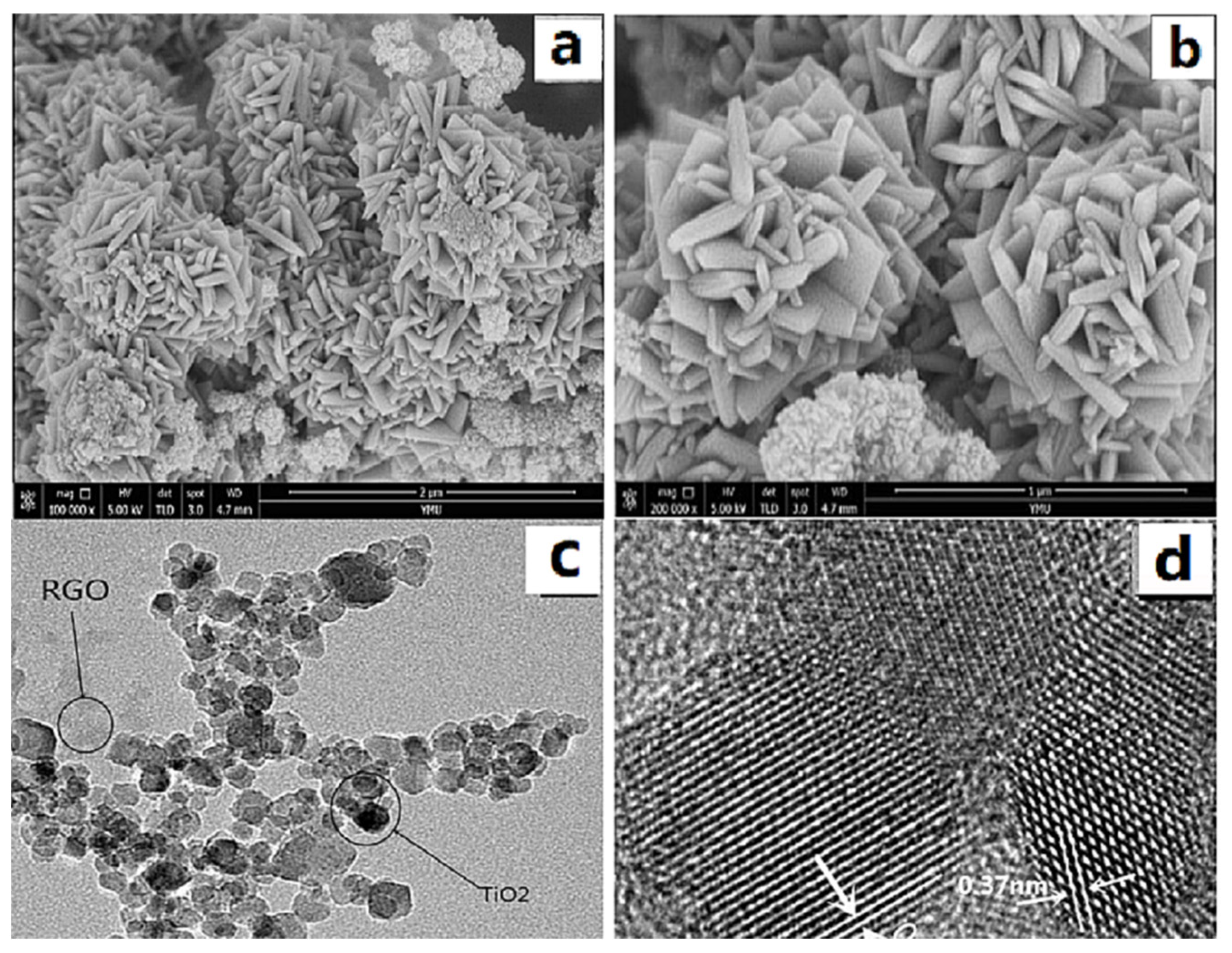 Polymers 14 04622 g002 Polymers 14 04622 g002
