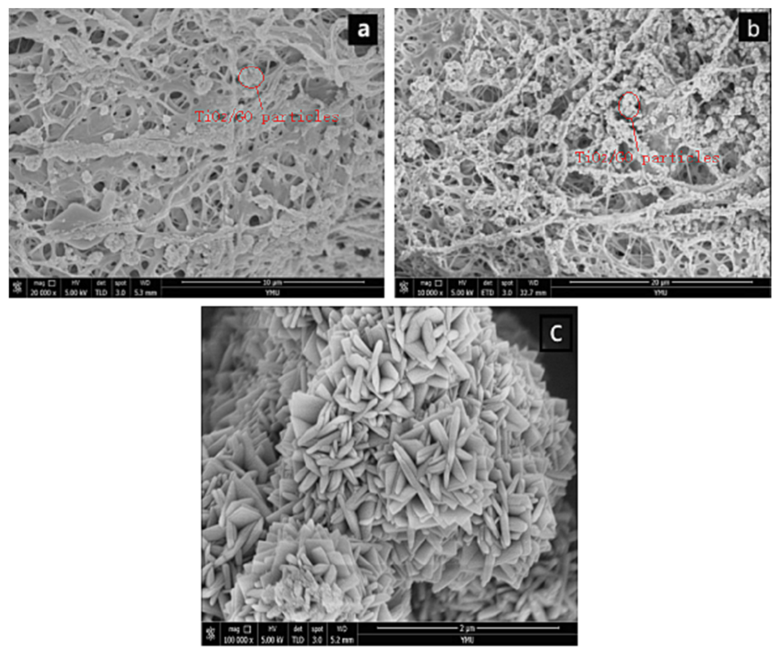 Polymers 14 04622 g004 Polymers 14 04622 g004