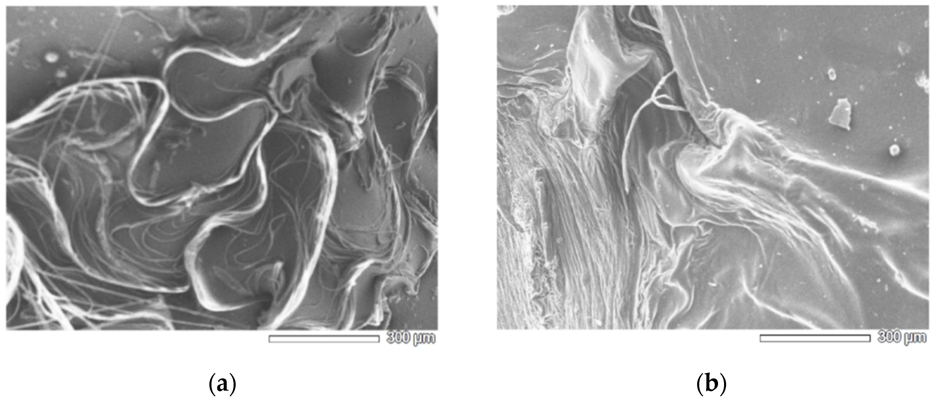 Polymers 14 04645 g004