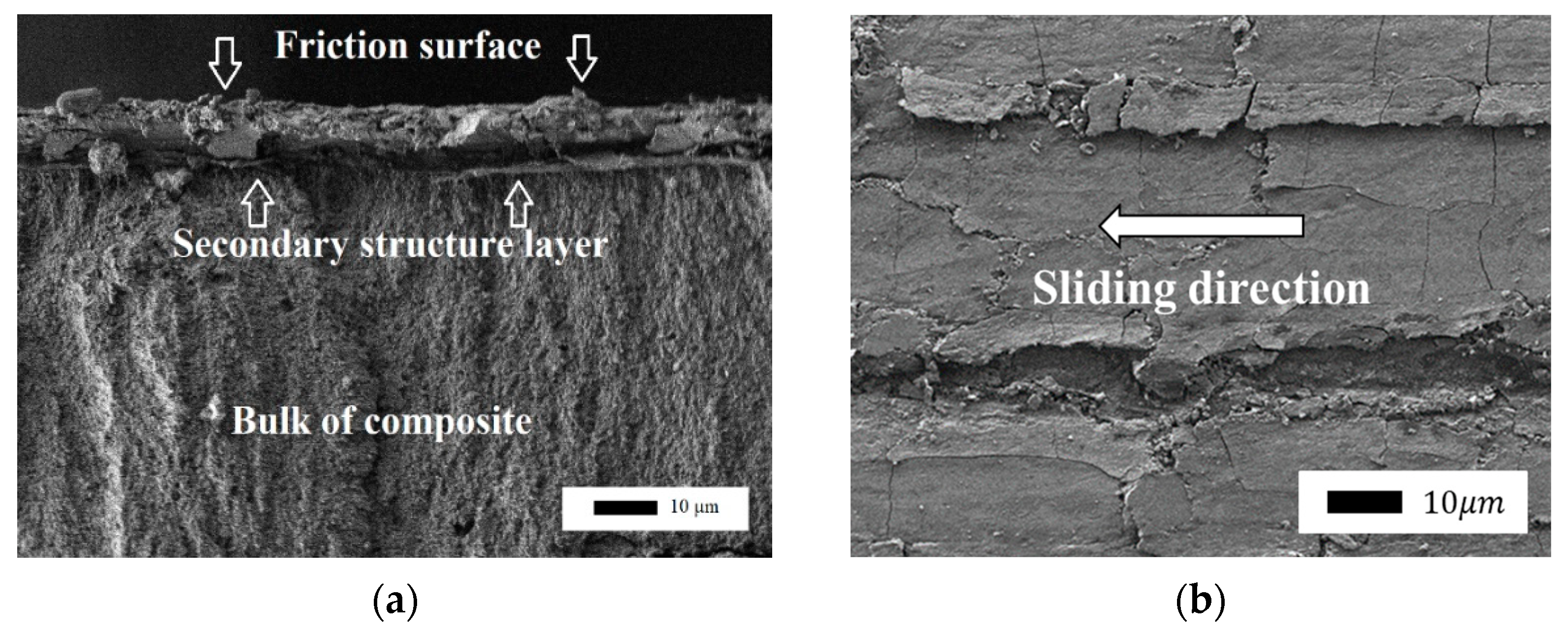 Polymers 14 04658 g005
