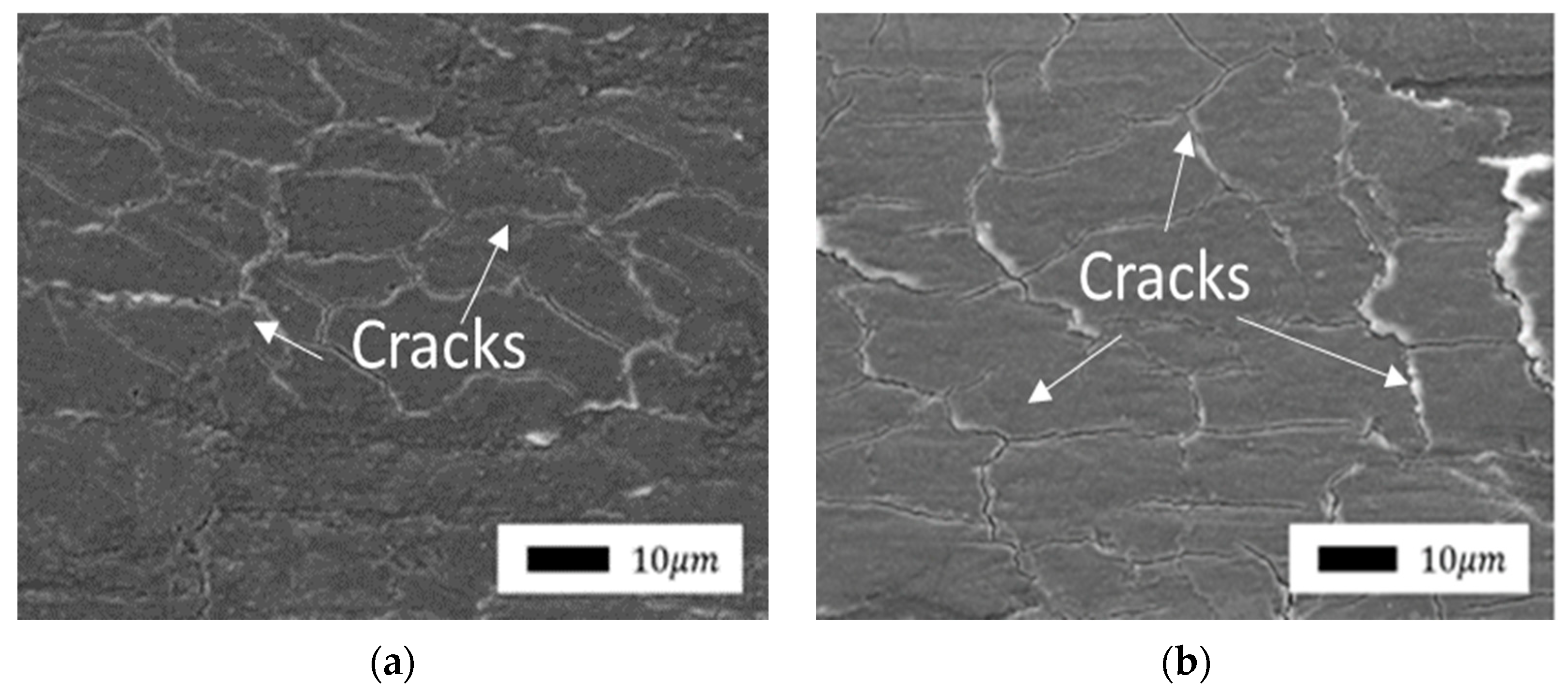 Polymers 14 04658 g010