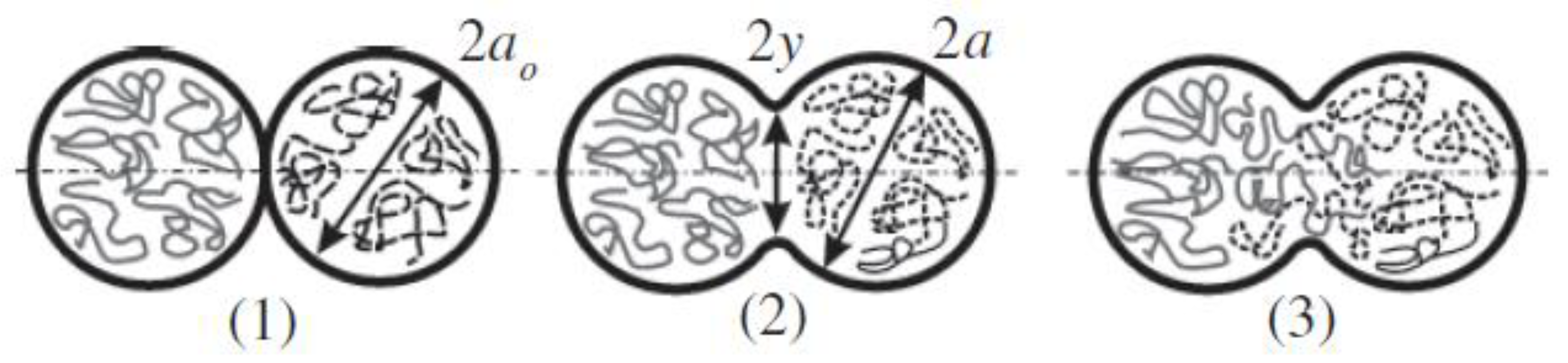 Polymers 14 04659 g002