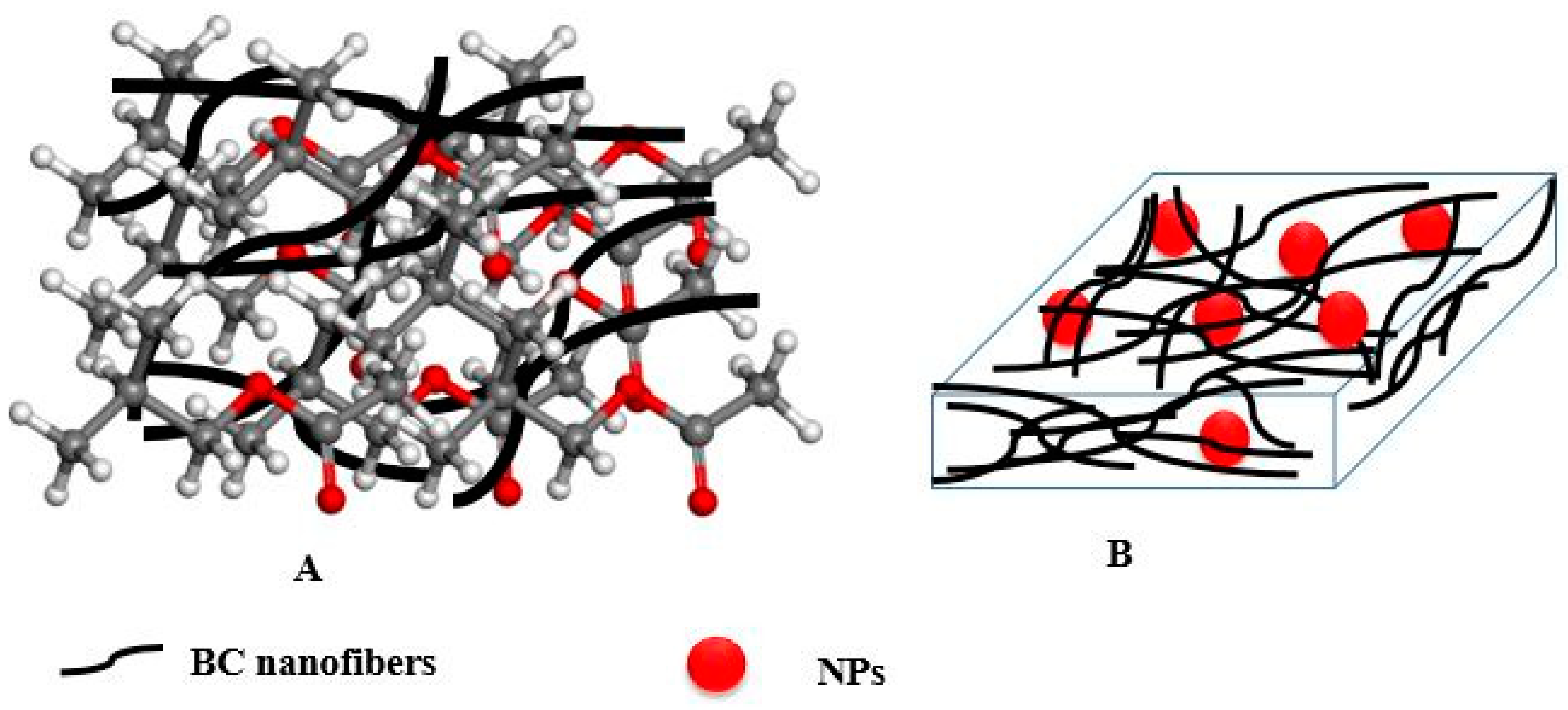 Polymers 14 04670 g005 Polymers 14 04670 g005