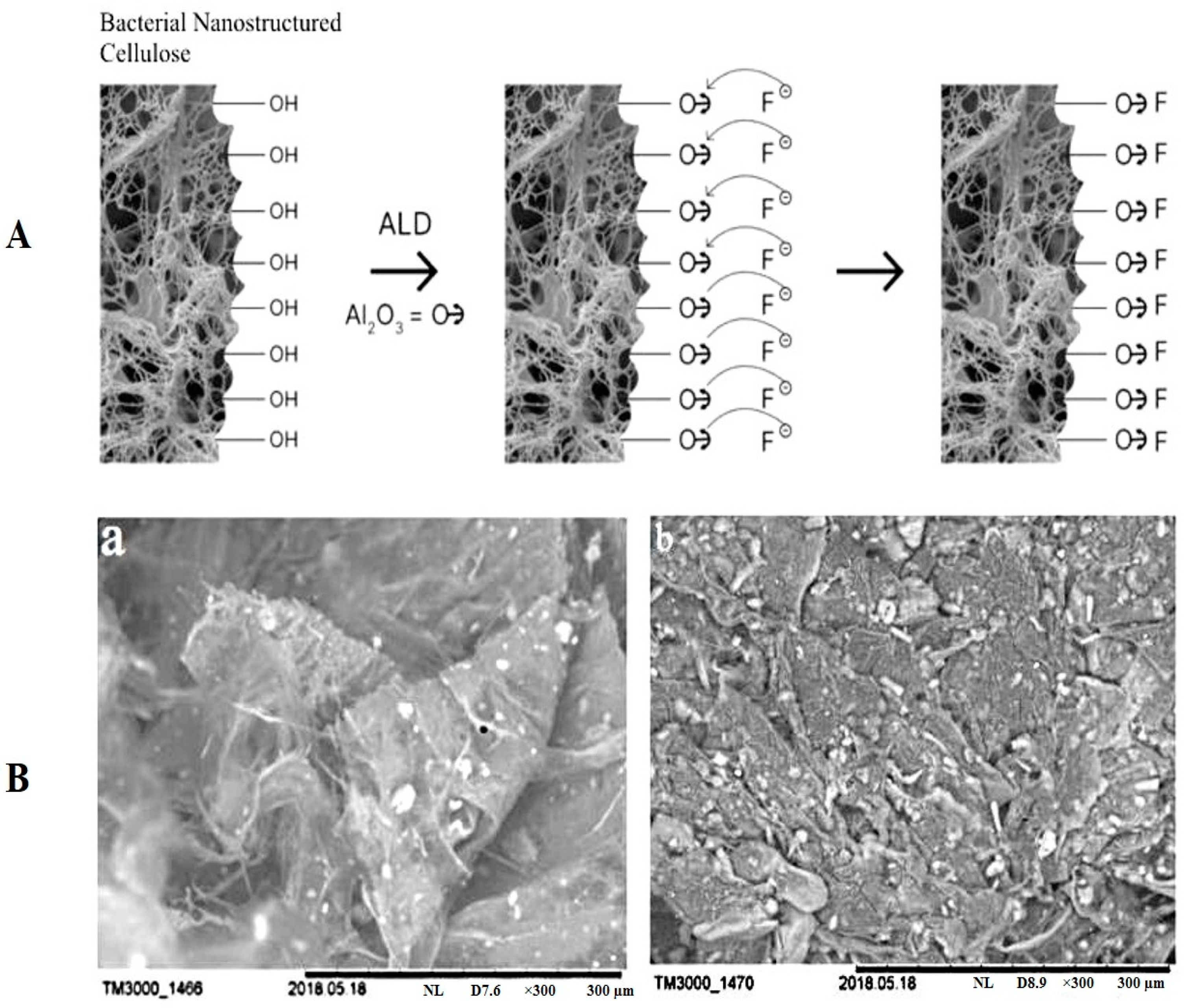 Polymers 14 04670 g011 Polymers 14 04670 g011