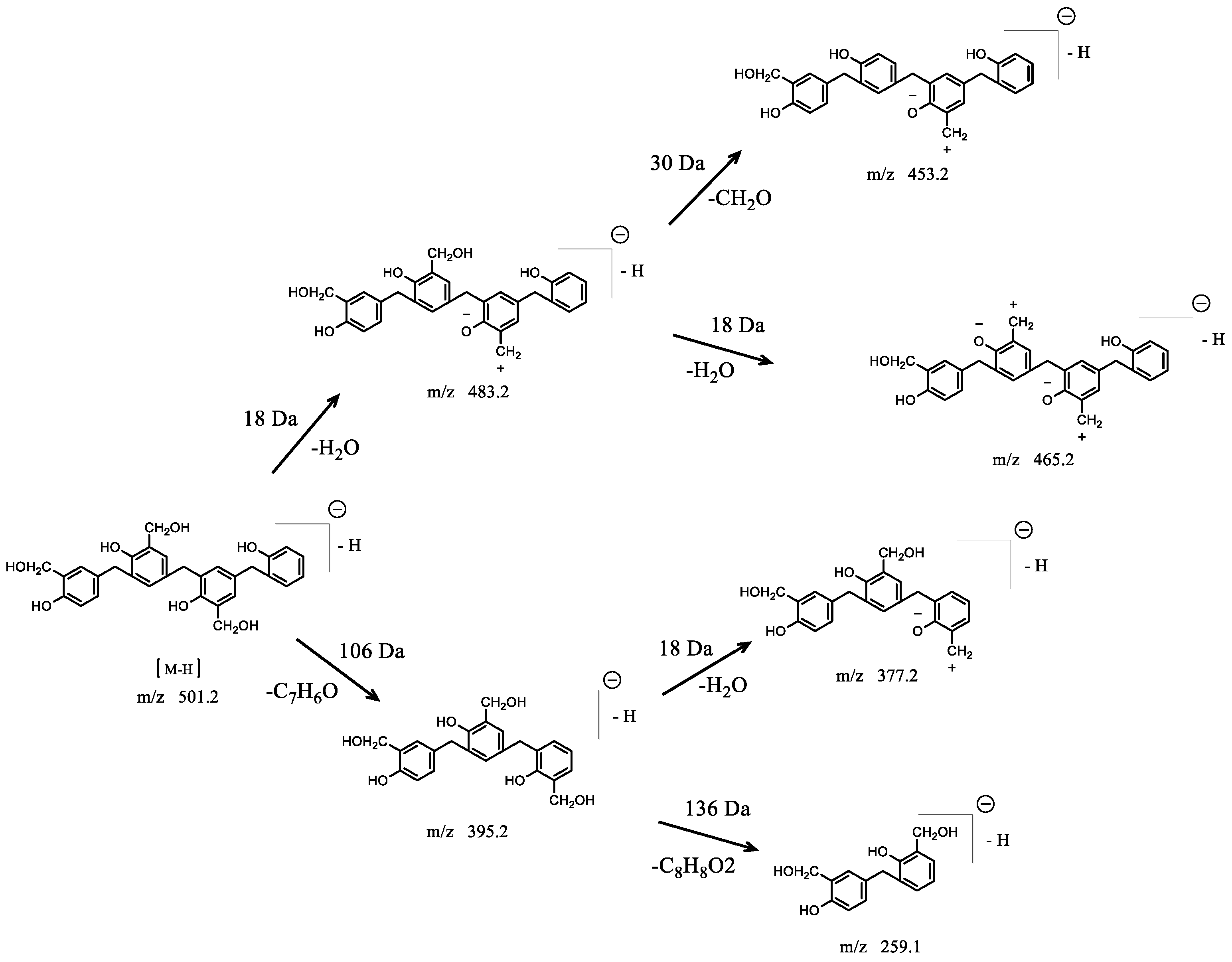 Polymers 14 04682 g007