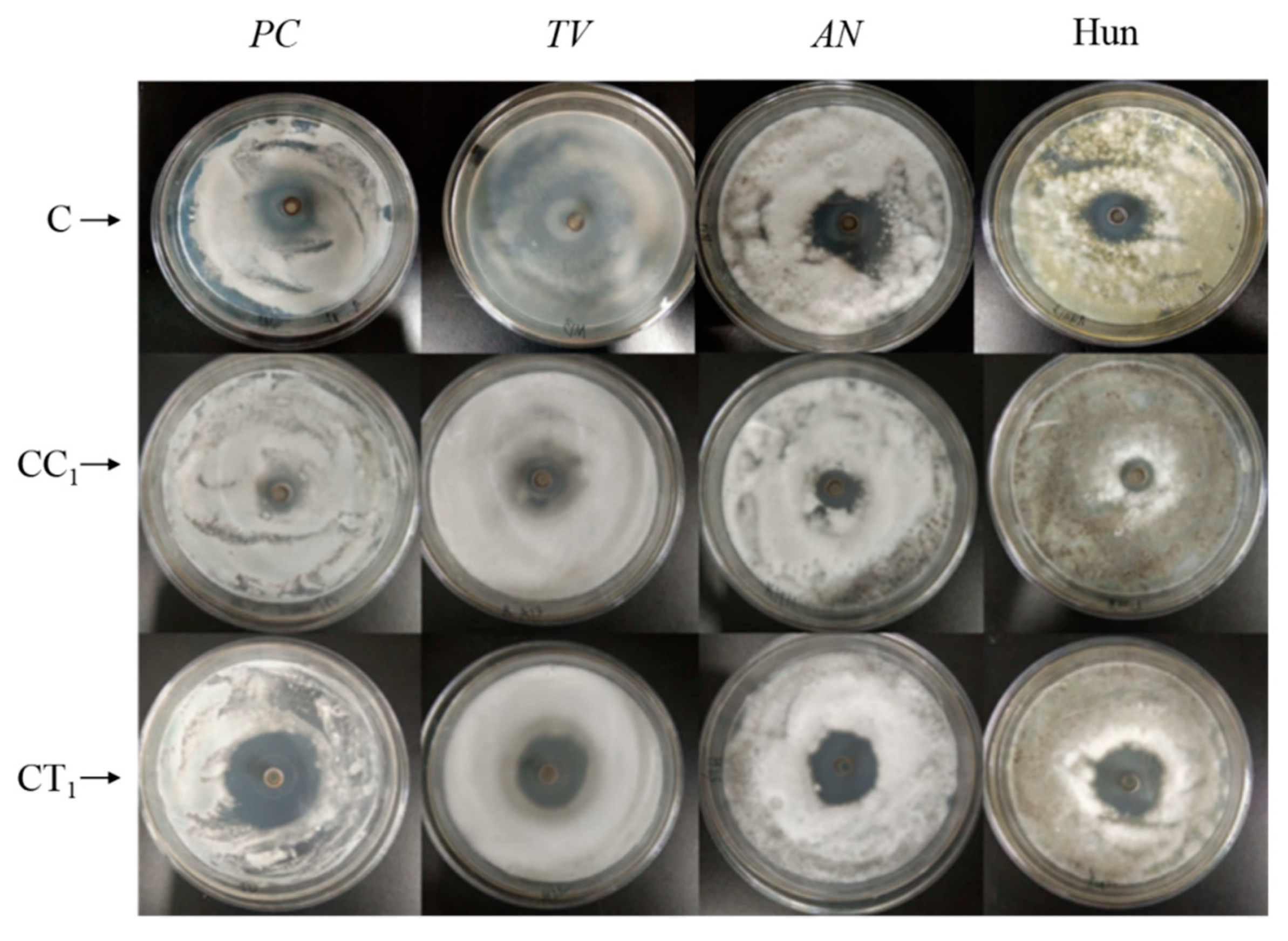 Polymers 14 04691 g003 Polymers 14 04691 g003