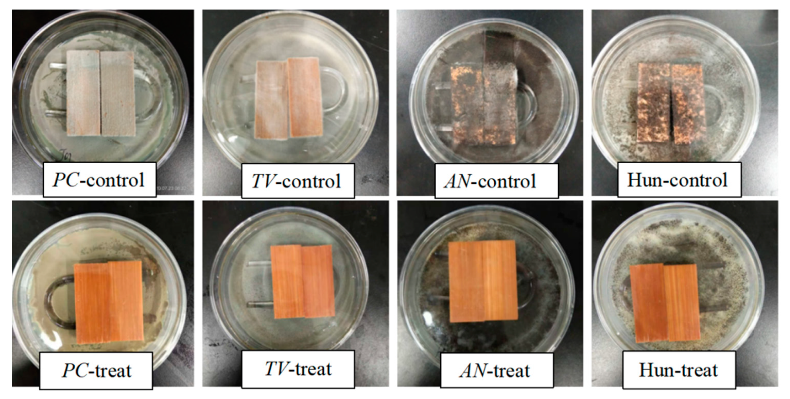 Polymers 14 04691 g007 Polymers 14 04691 g007