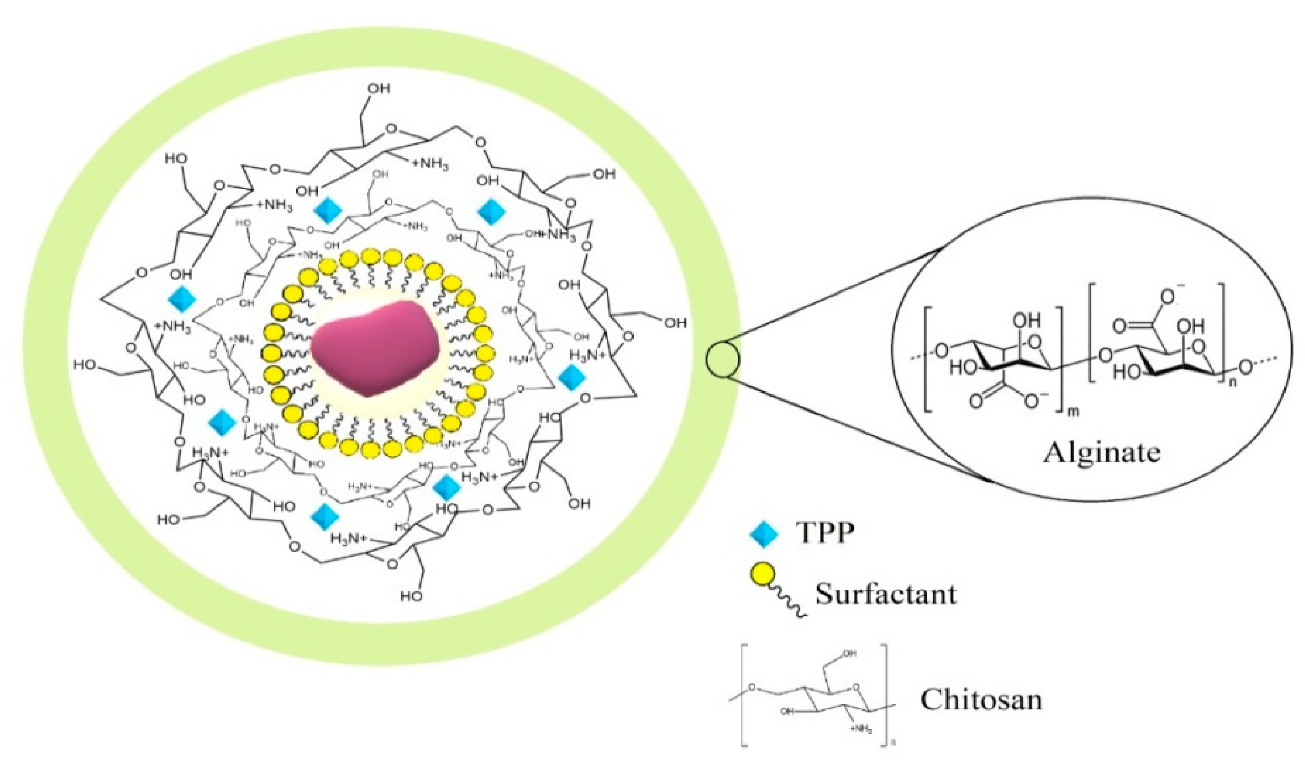 Polymers 14 04695 g002