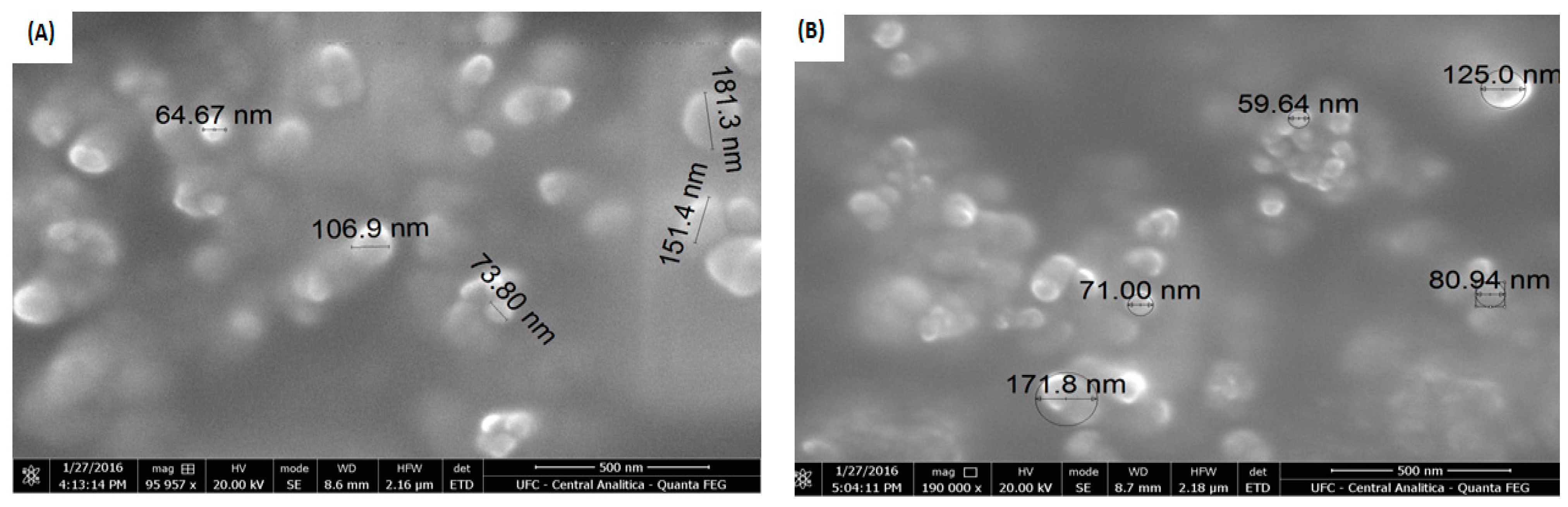 Polymers 14 04695 g004