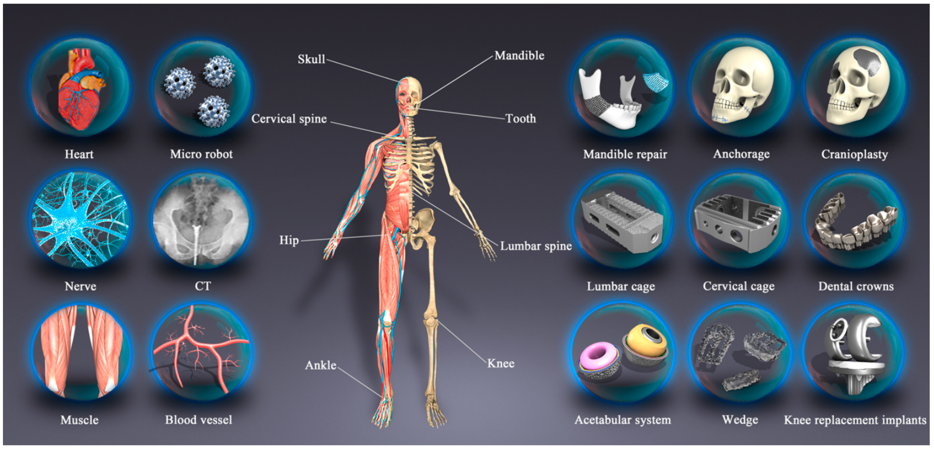 Polymers 14 04698 g009