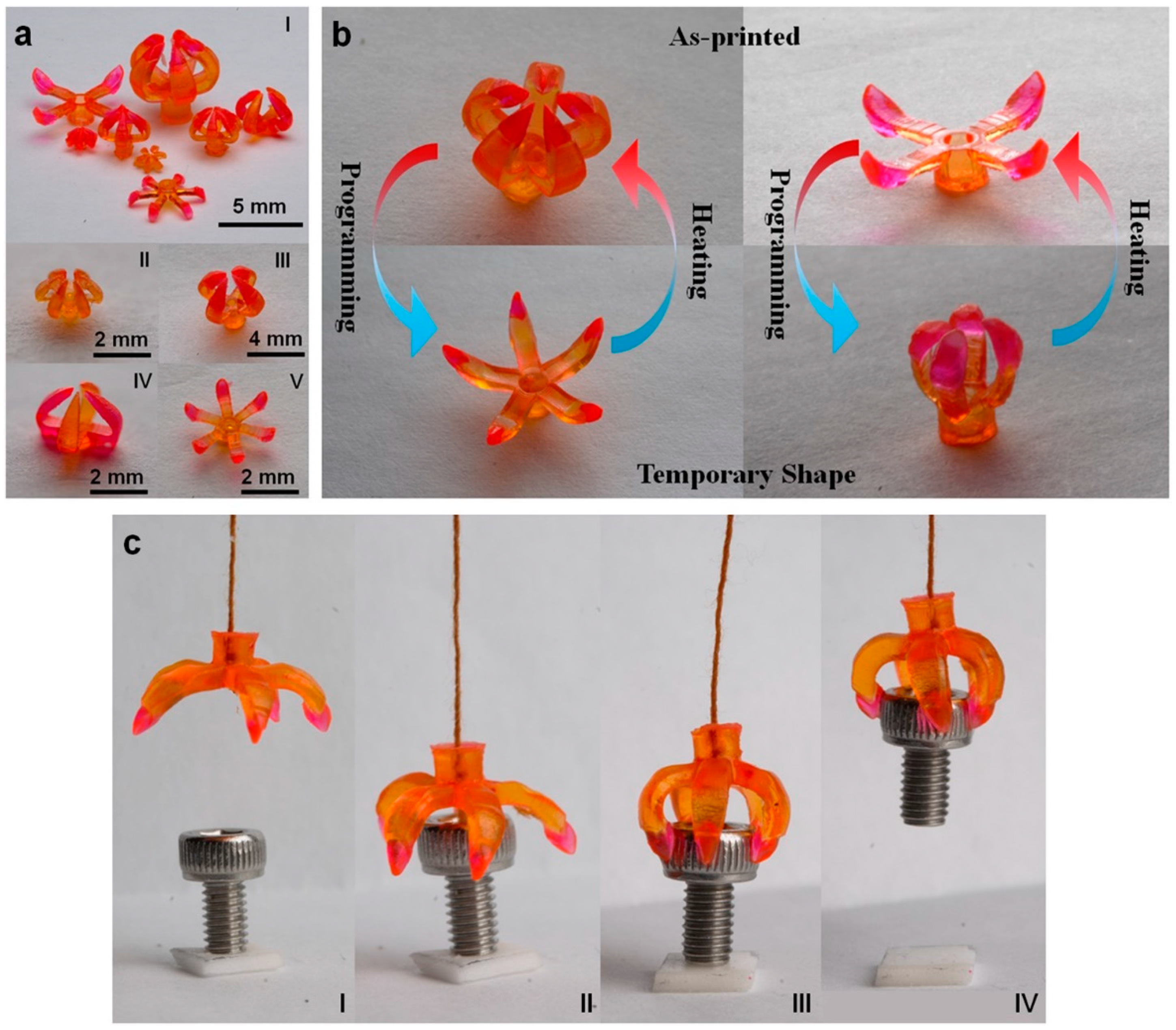 Polymers 14 04698 g017