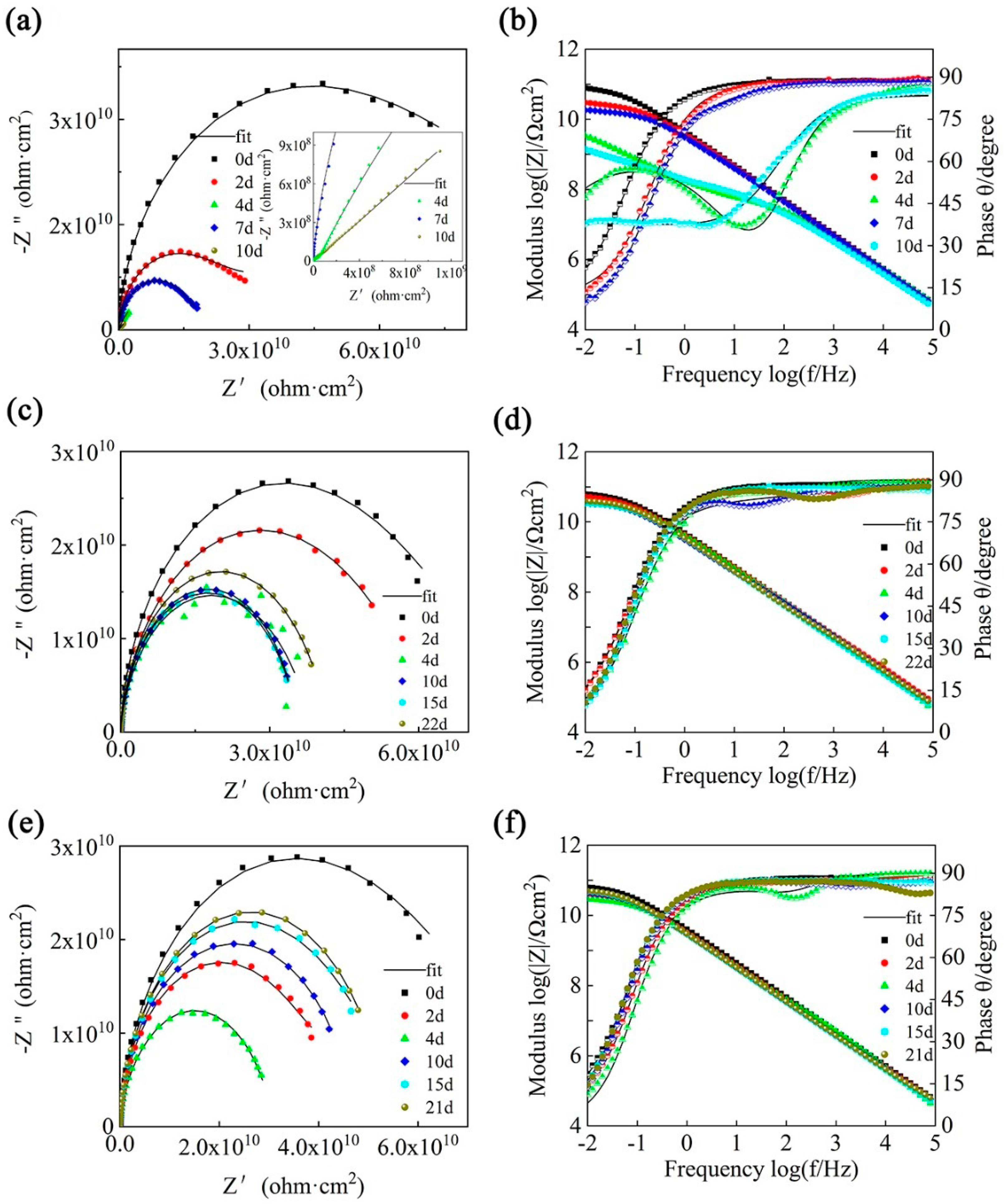 Polymers 14 04704 g012