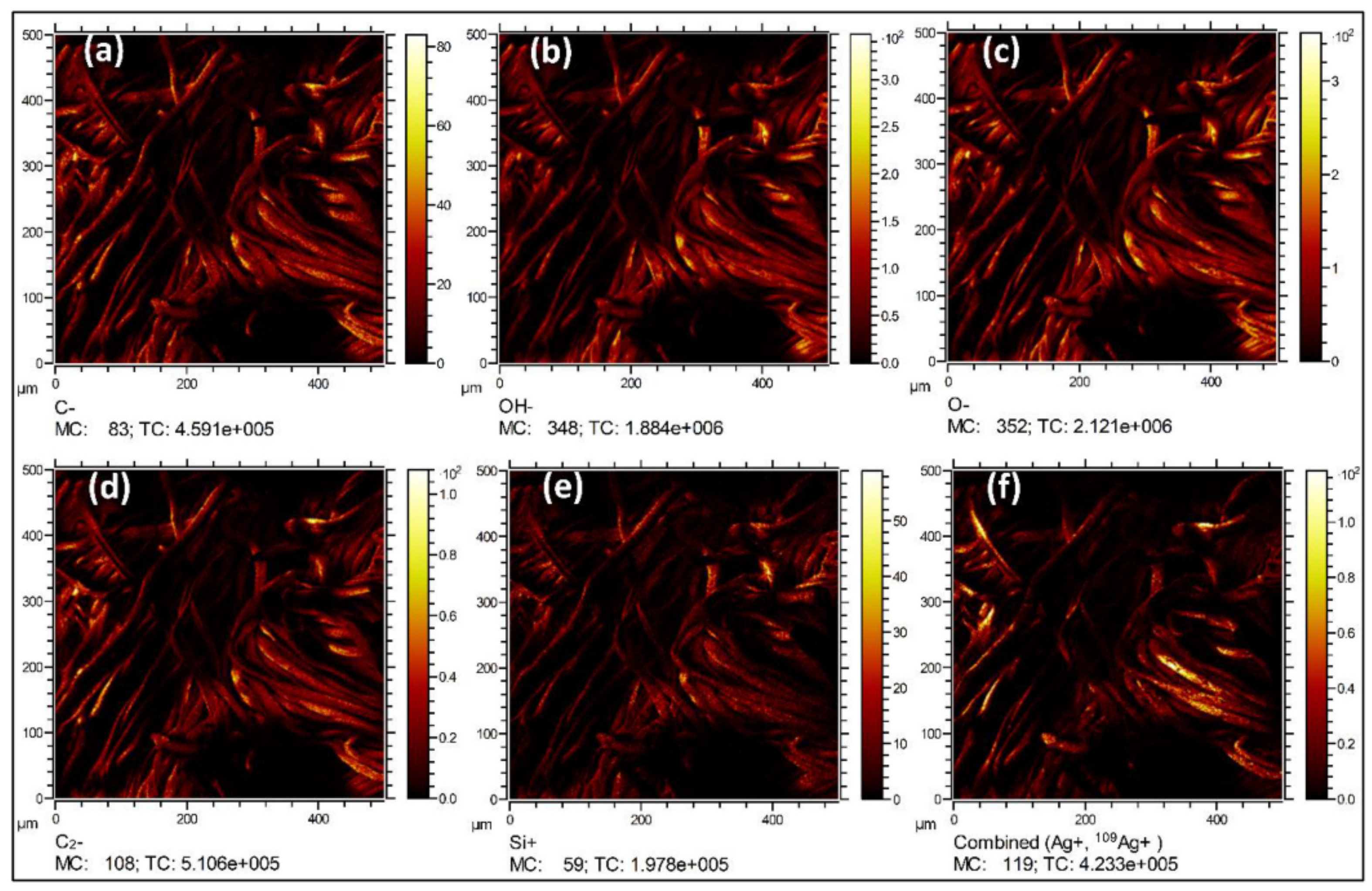 Polymers 14 04713 g006