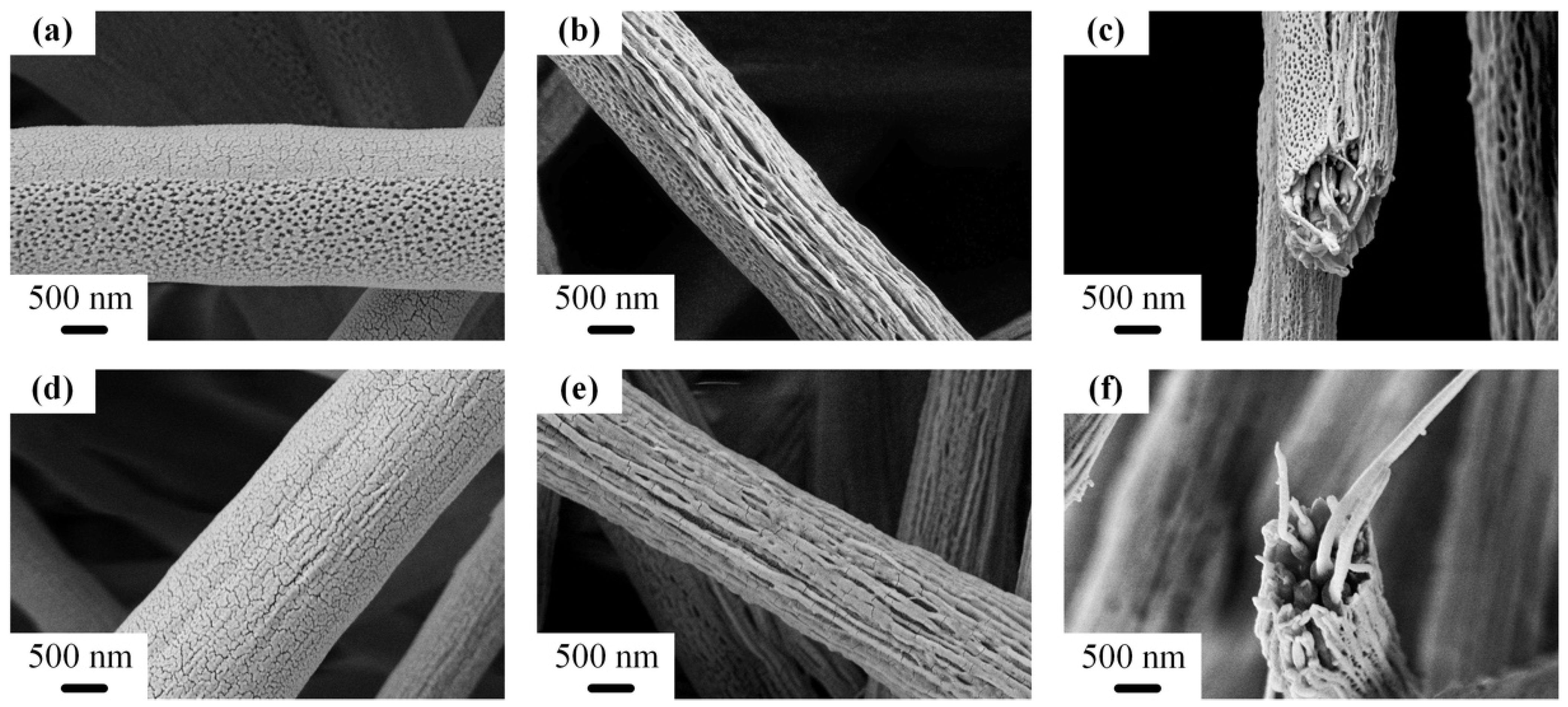 Polymers 14 04722 g004 Polymers 14 04722 g004