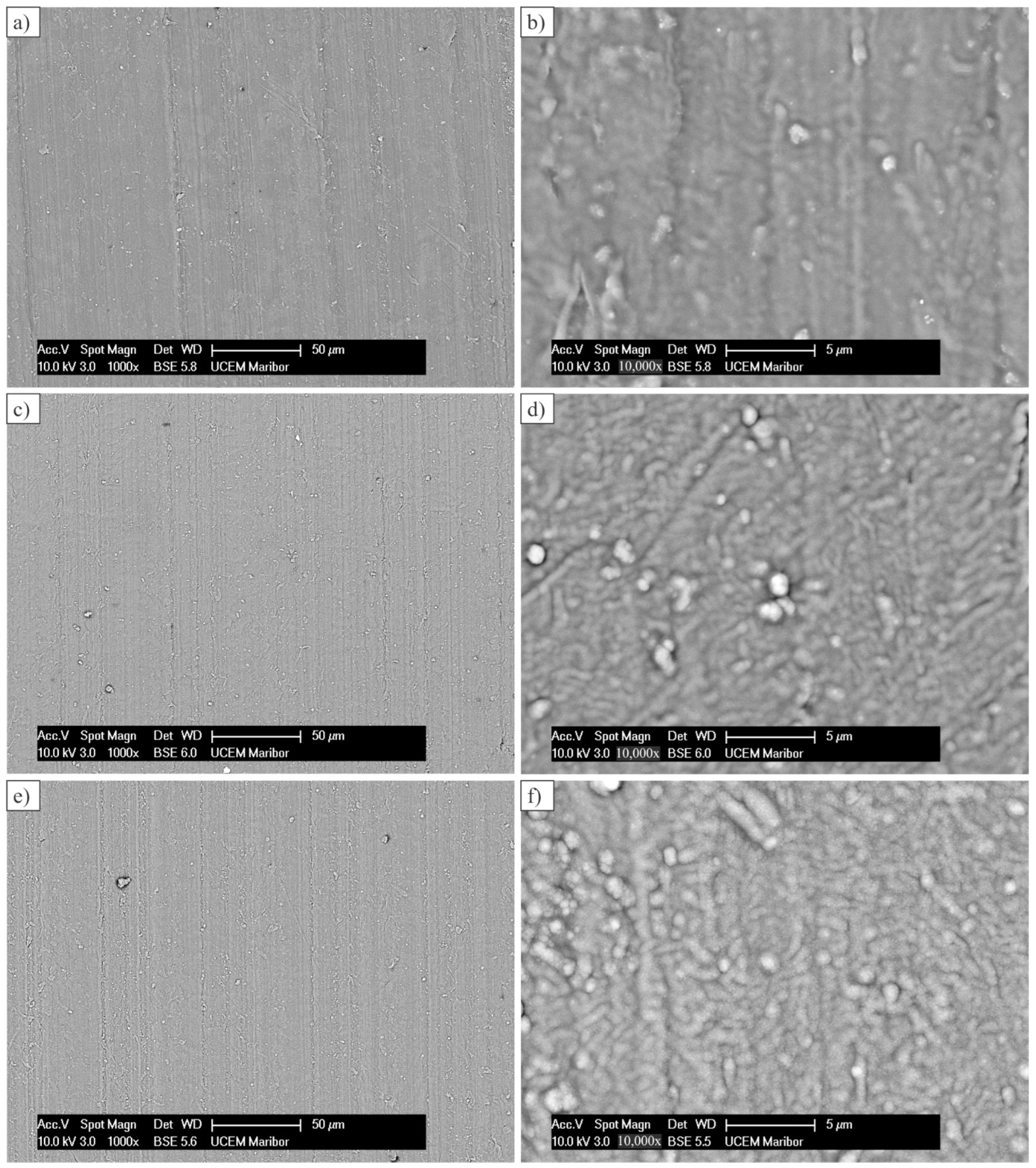 Polymers 14 04751 g004