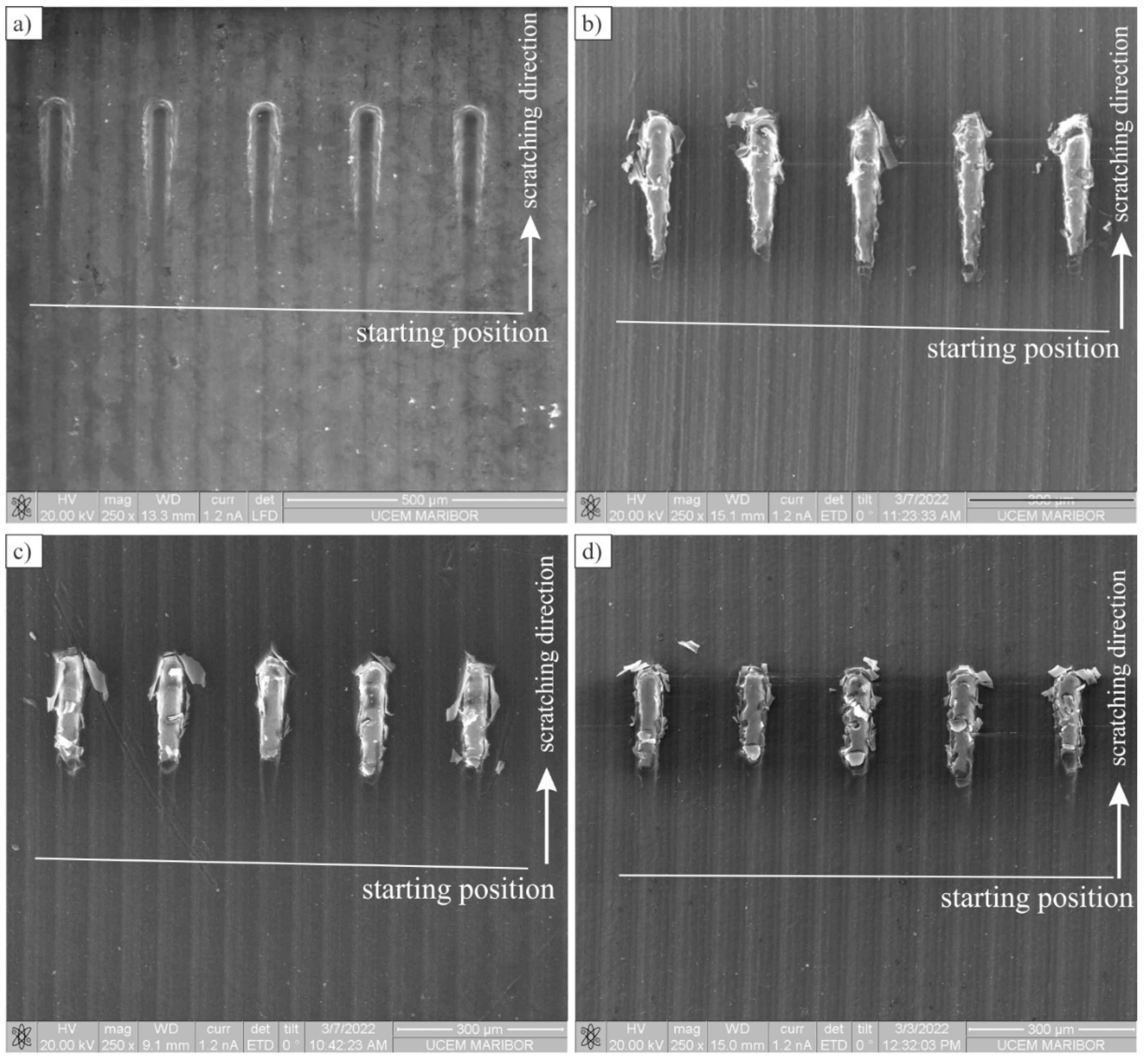 Polymers 14 04751 g006