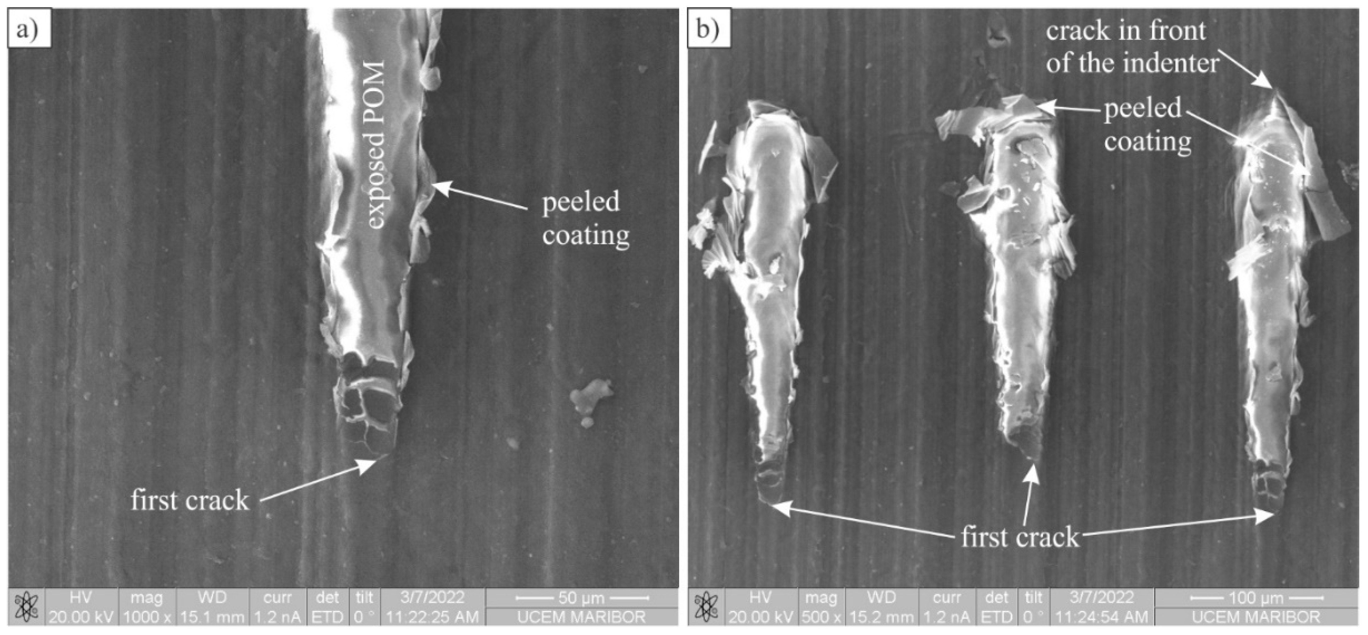 Polymers 14 04751 g007
