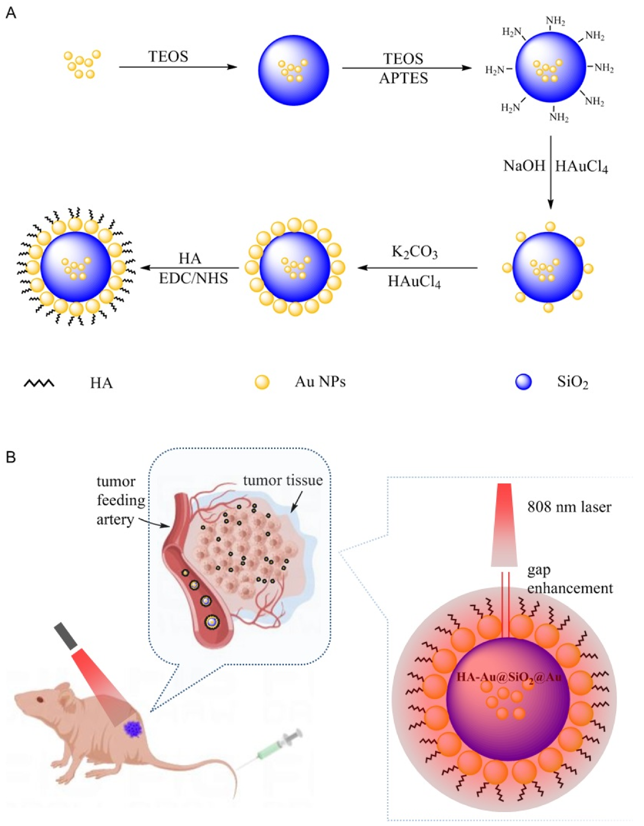 Polymers 14 04772 sch001 Polymers 14 04772 sch001