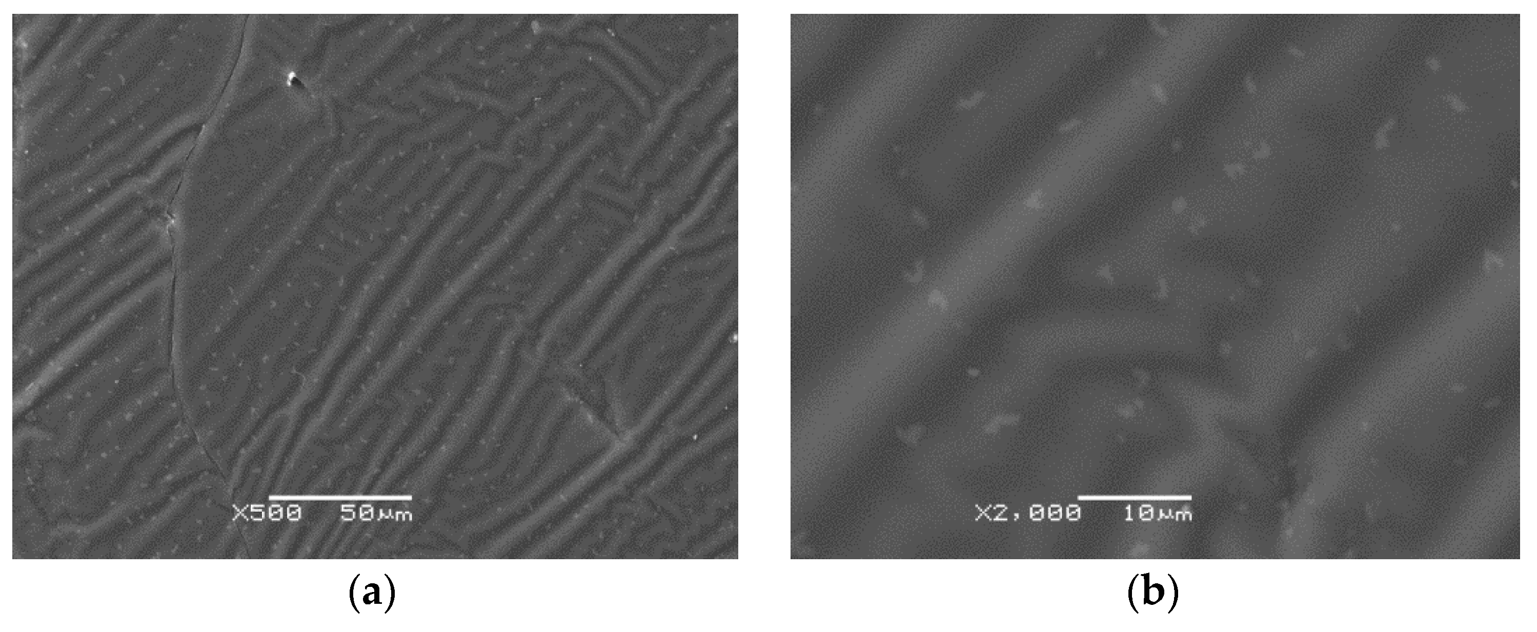 Polymers 14 04775 g006 Polymers 14 04775 g006