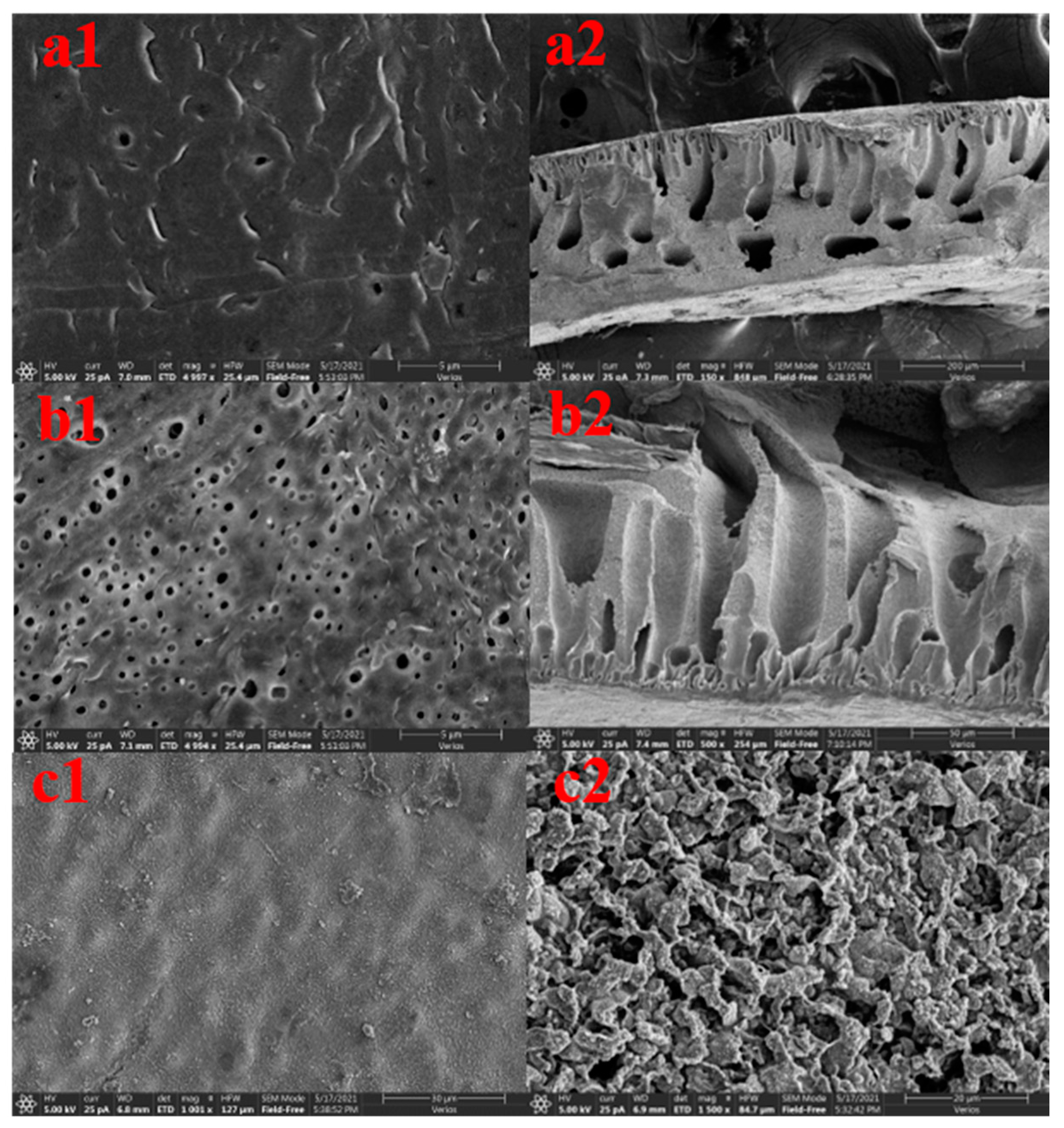 Polymers 14 04779 g002 Polymers 14 04779 g002