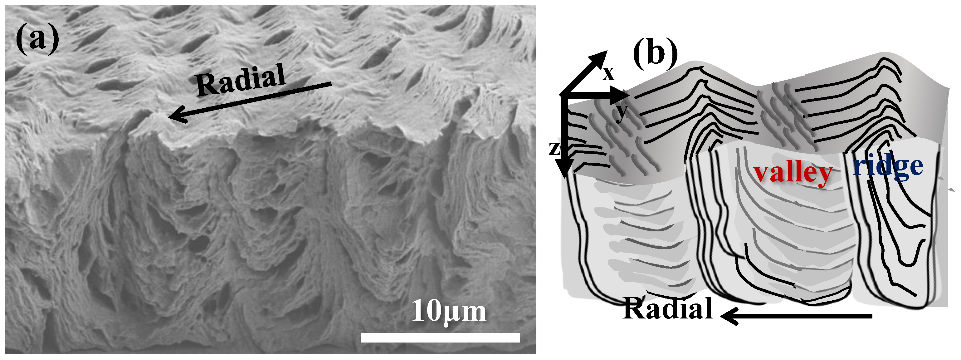 Polymers 14 04781 g005