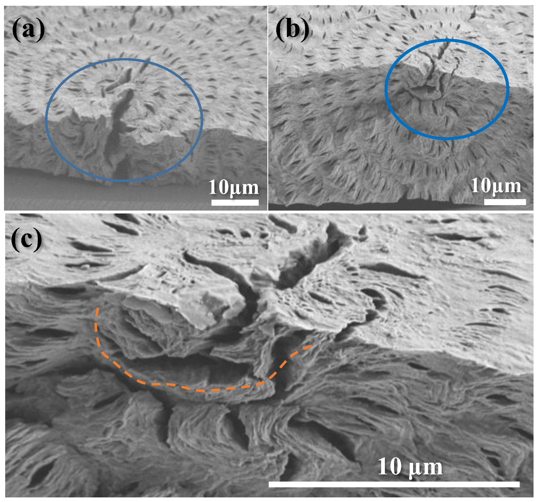 Polymers 14 04781 g006