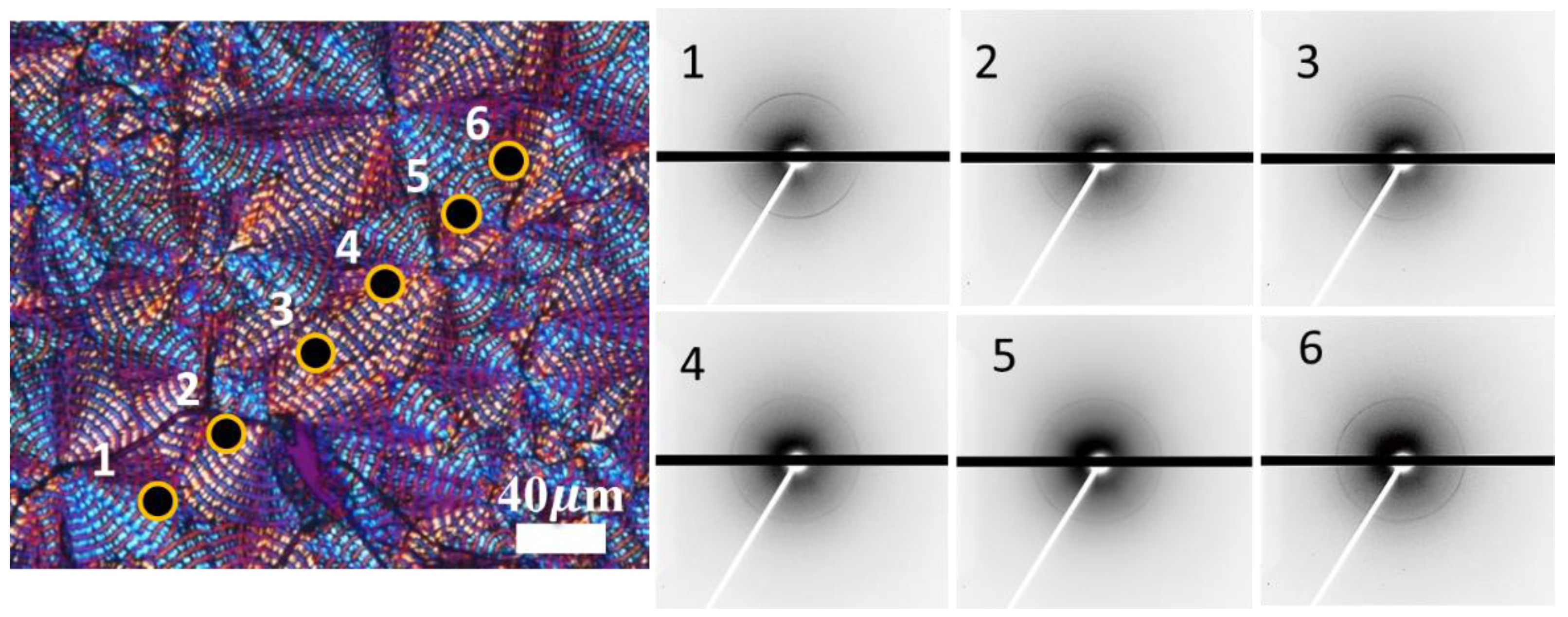 Polymers 14 04781 g008