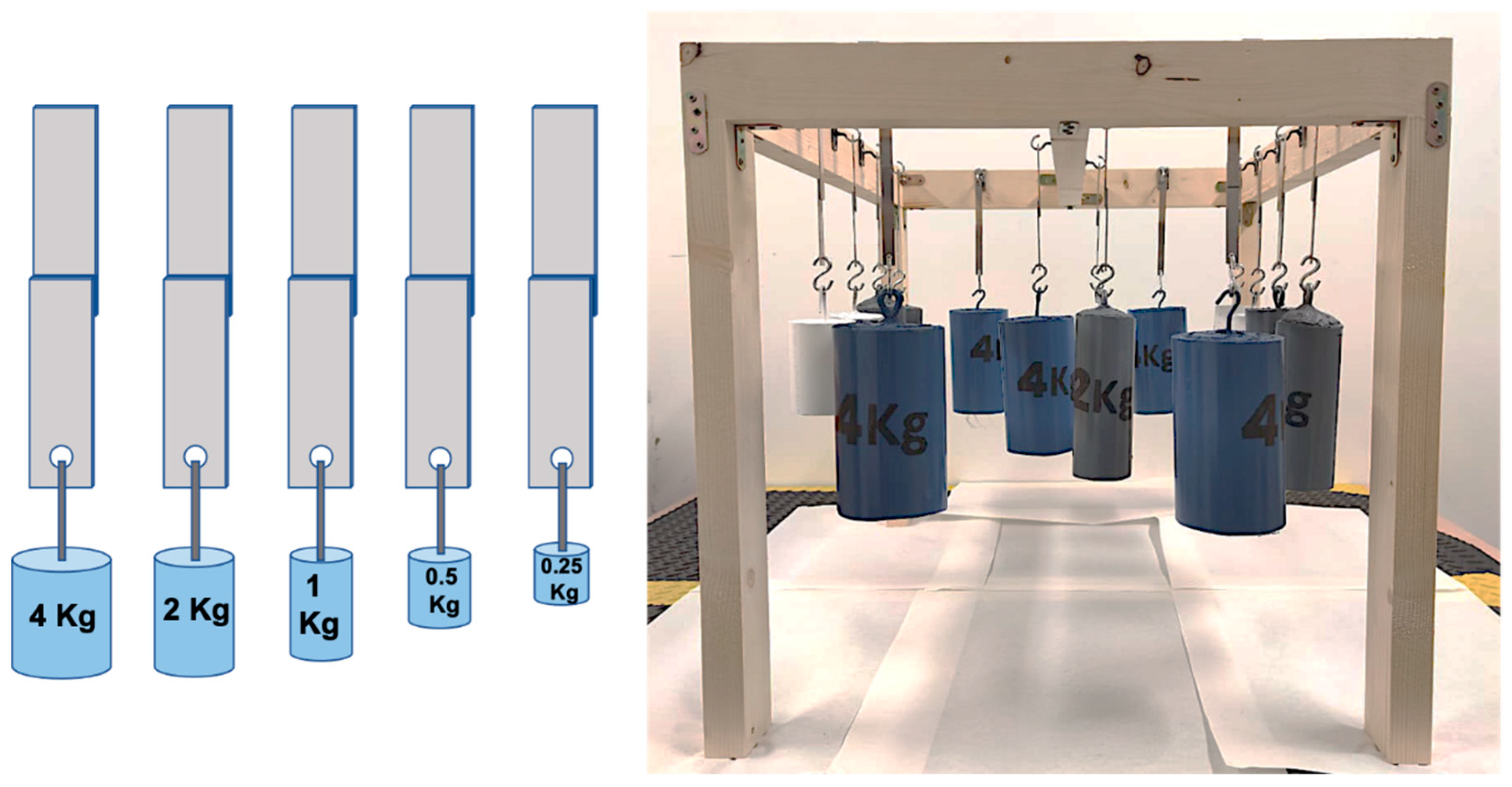 Polymers 14 04783 g003 Polymers 14 04783 g003