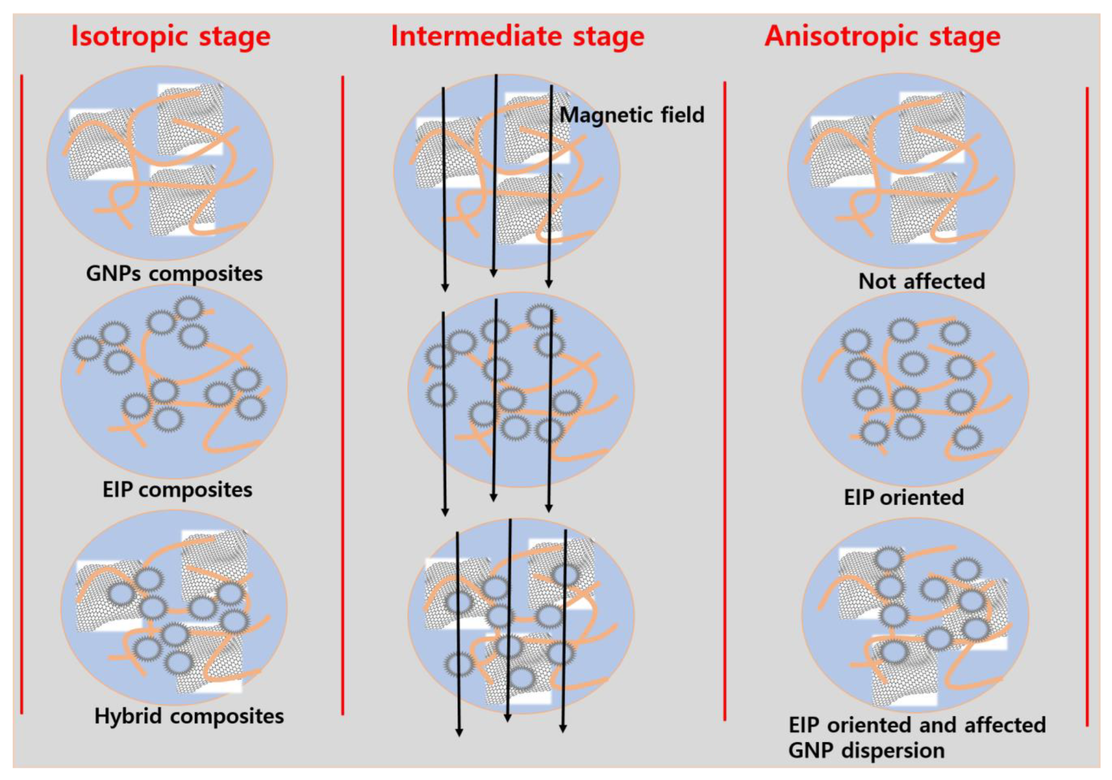 Polymers 14 04826 g008