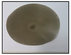 Polymers 14 04830 i003