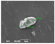 Polymers 14 04830 i011