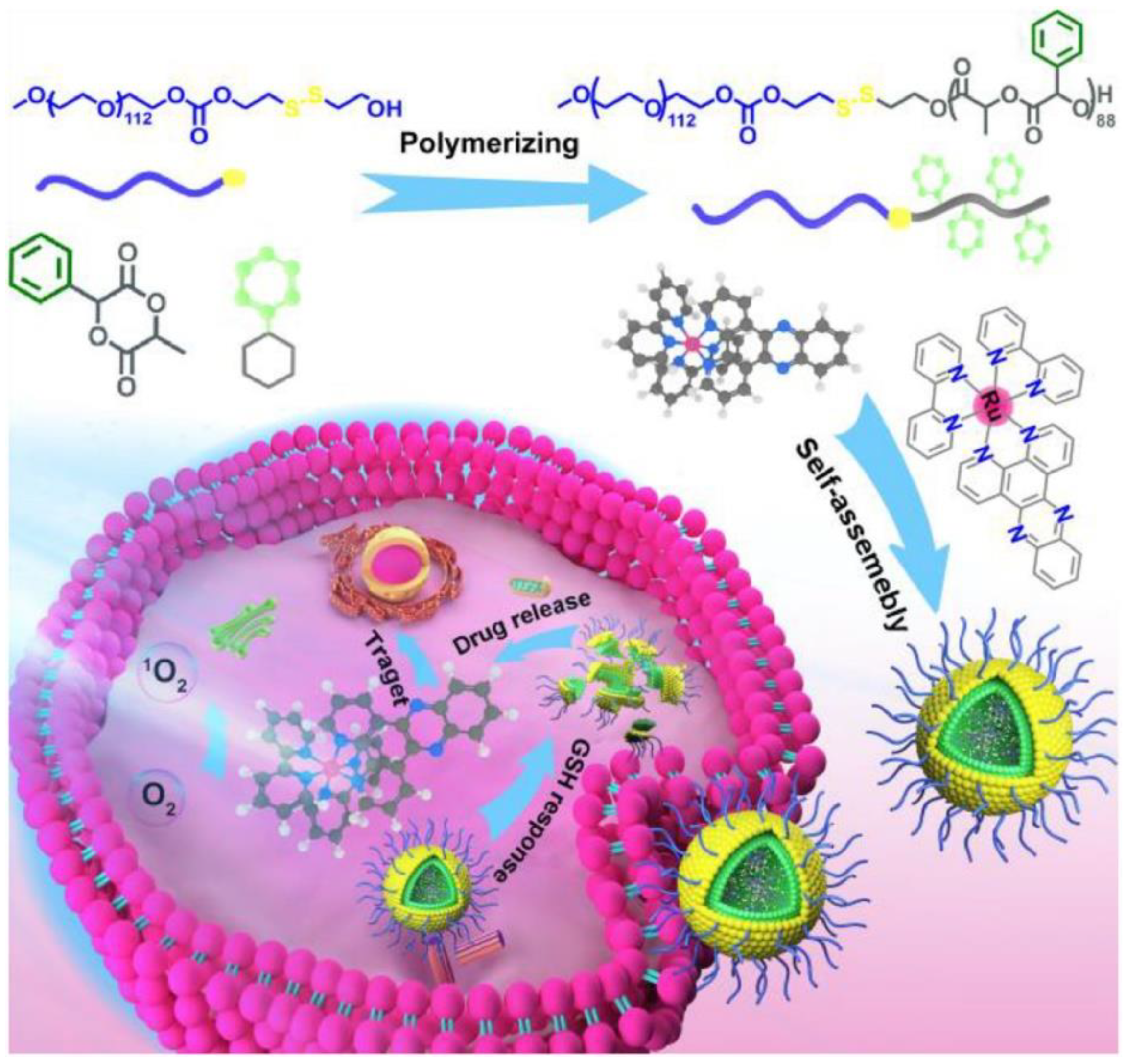 Paulina Von Schinkel Nude - Polymers | Free Full-Text | Multifunctional Polymeric Micelles for Cancer  Therapy