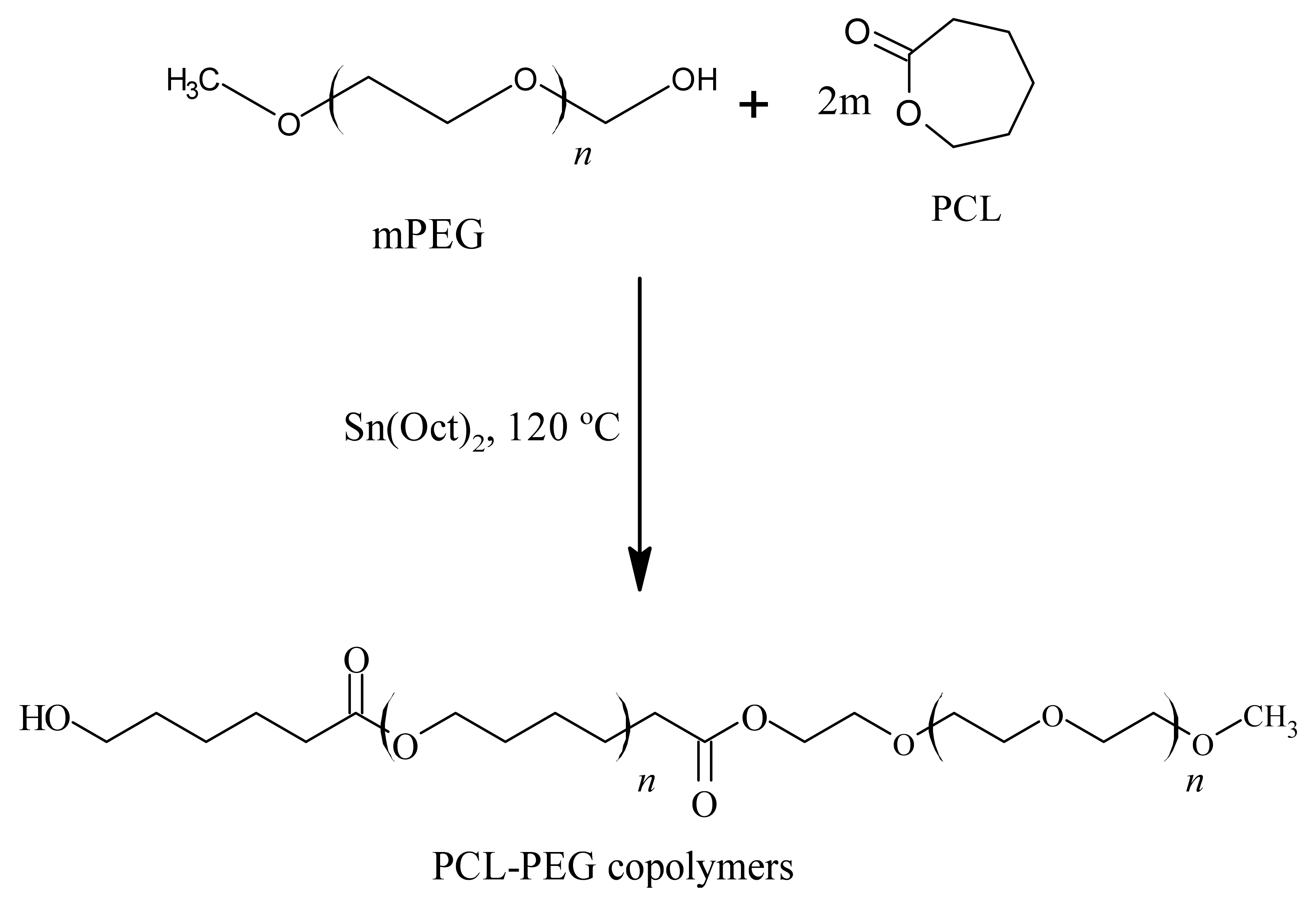 Polymers 14 04847 g002 Polymers 14 04847 g002