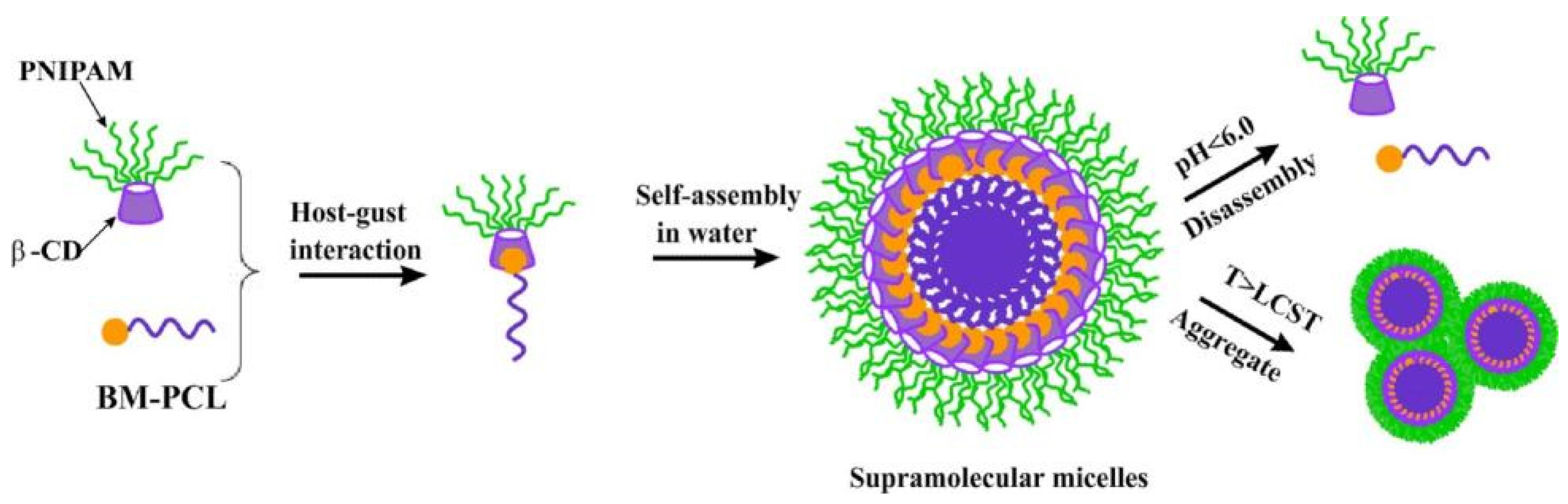Polymers 14 04855 g002 Polymers 14 04855 g002