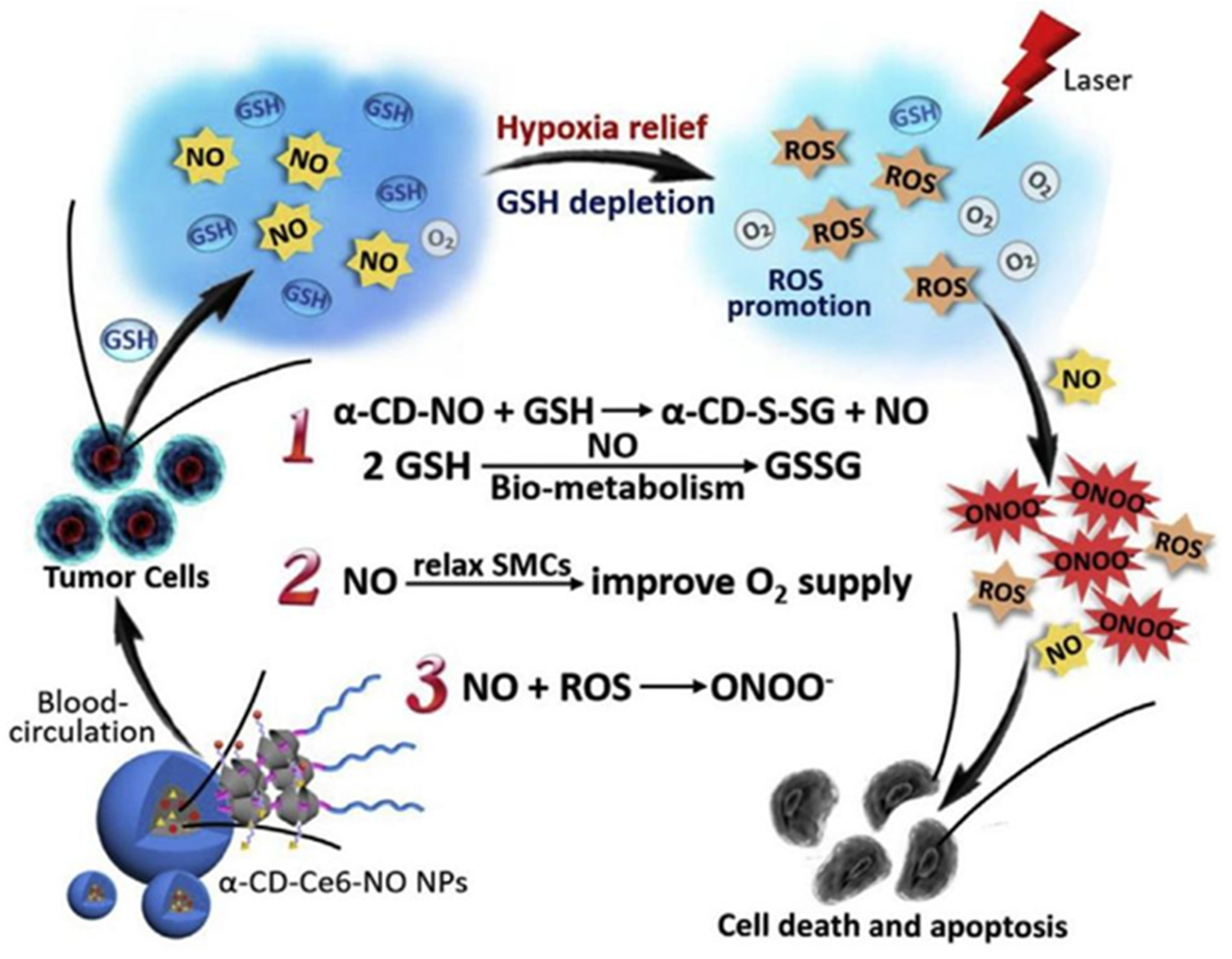 Polymers 14 04855 g005 Polymers 14 04855 g005
