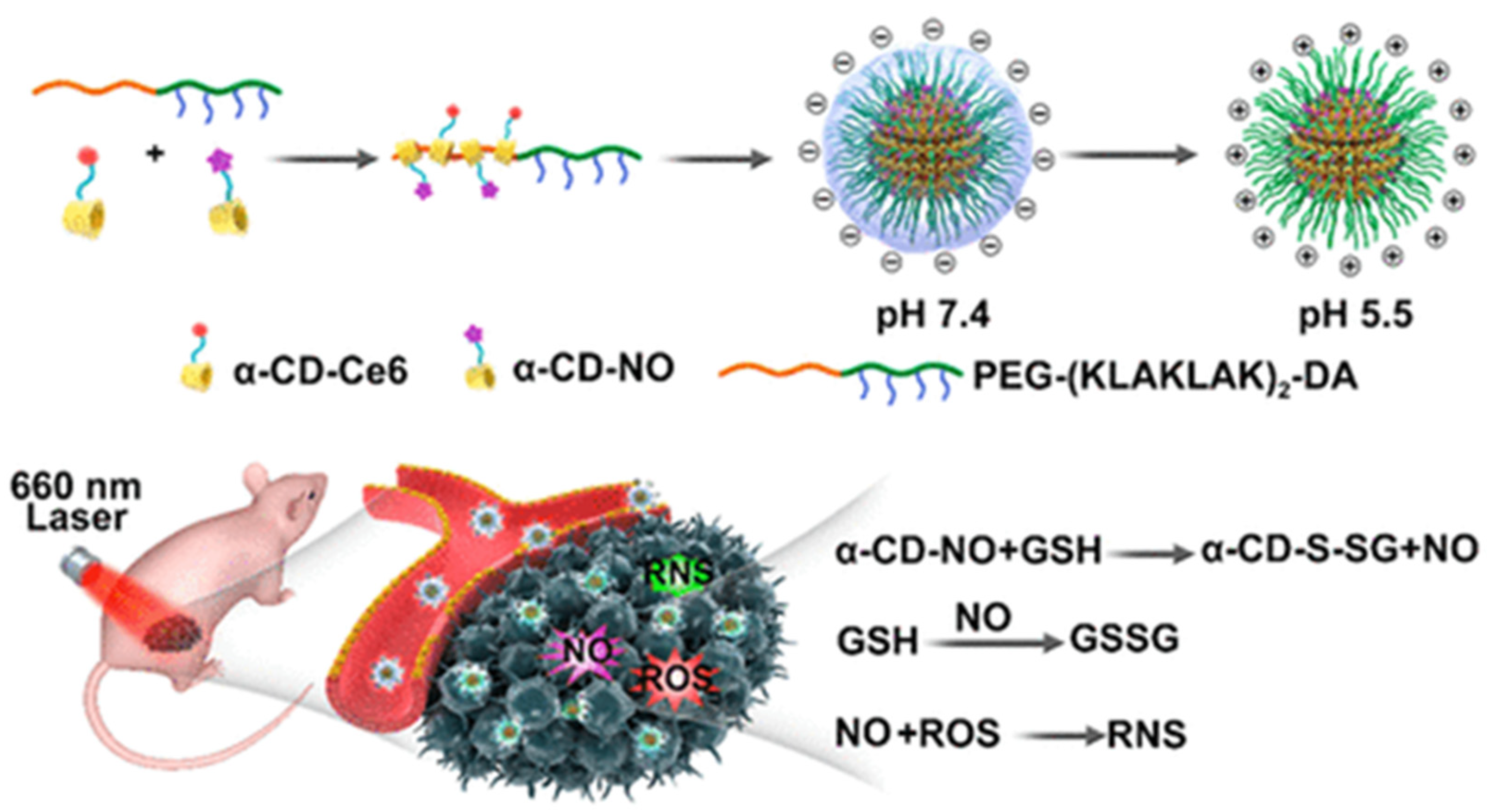 Polymers 14 04855 g006 Polymers 14 04855 g006
