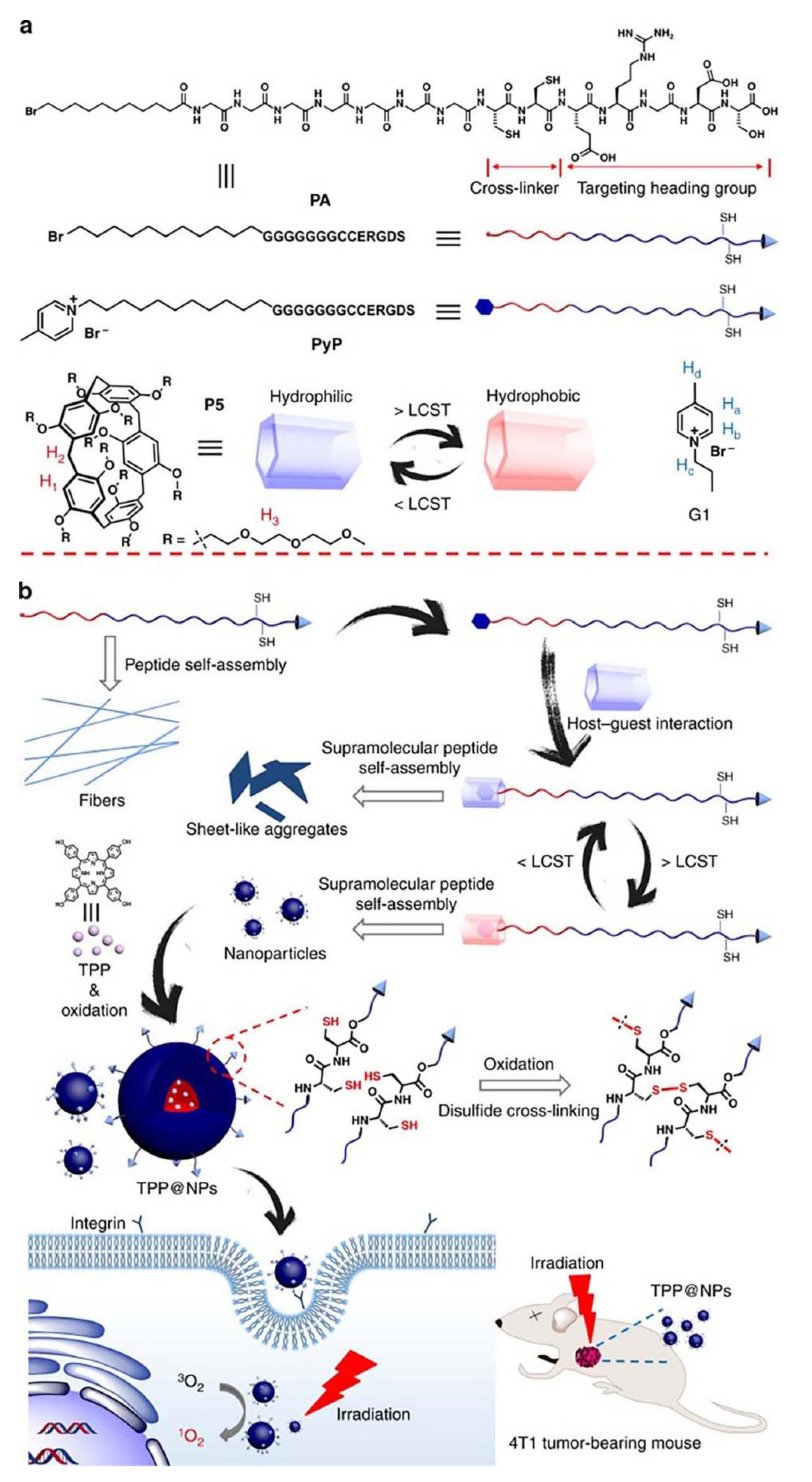 Polymers 14 04855 g013 Polymers 14 04855 g013