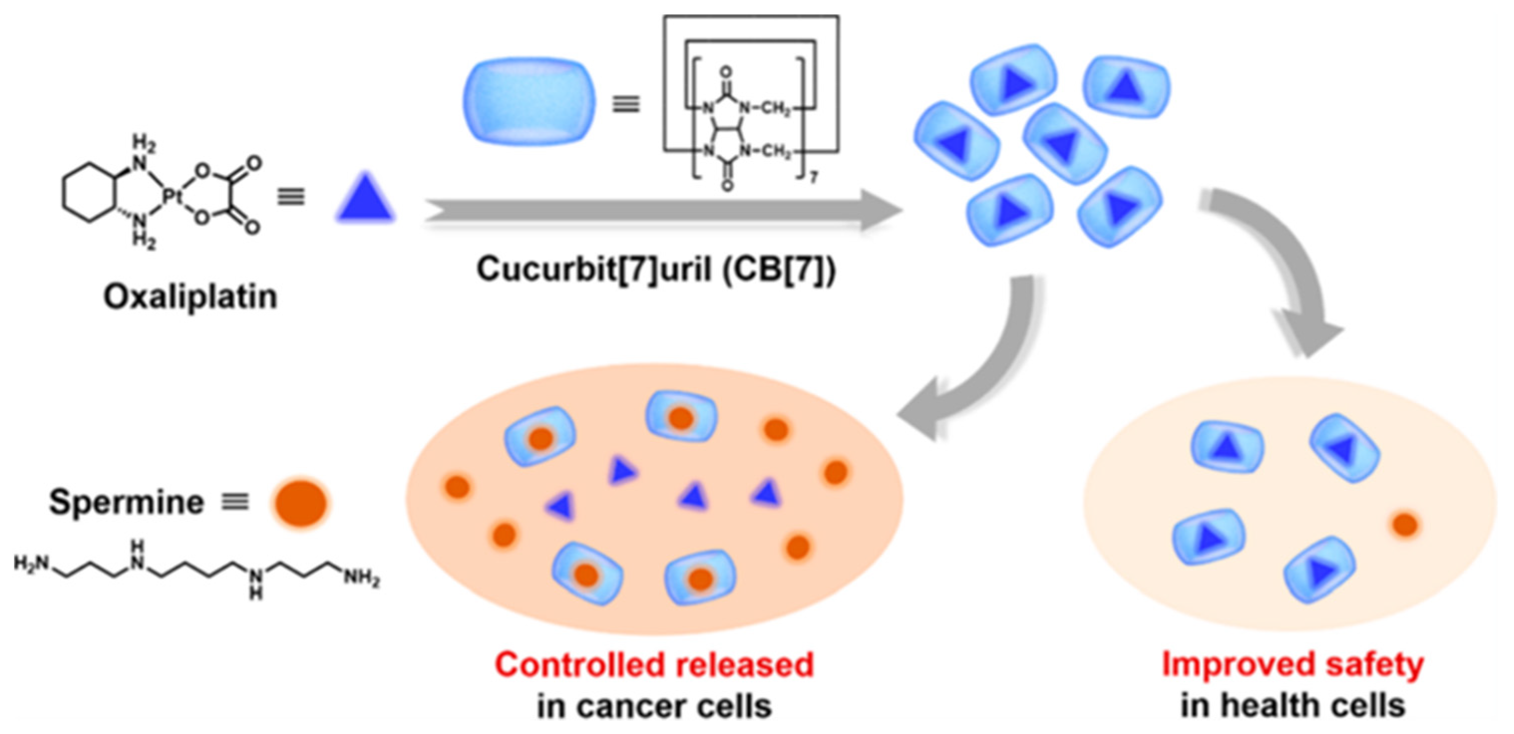 Polymers 14 04855 g016 Polymers 14 04855 g016